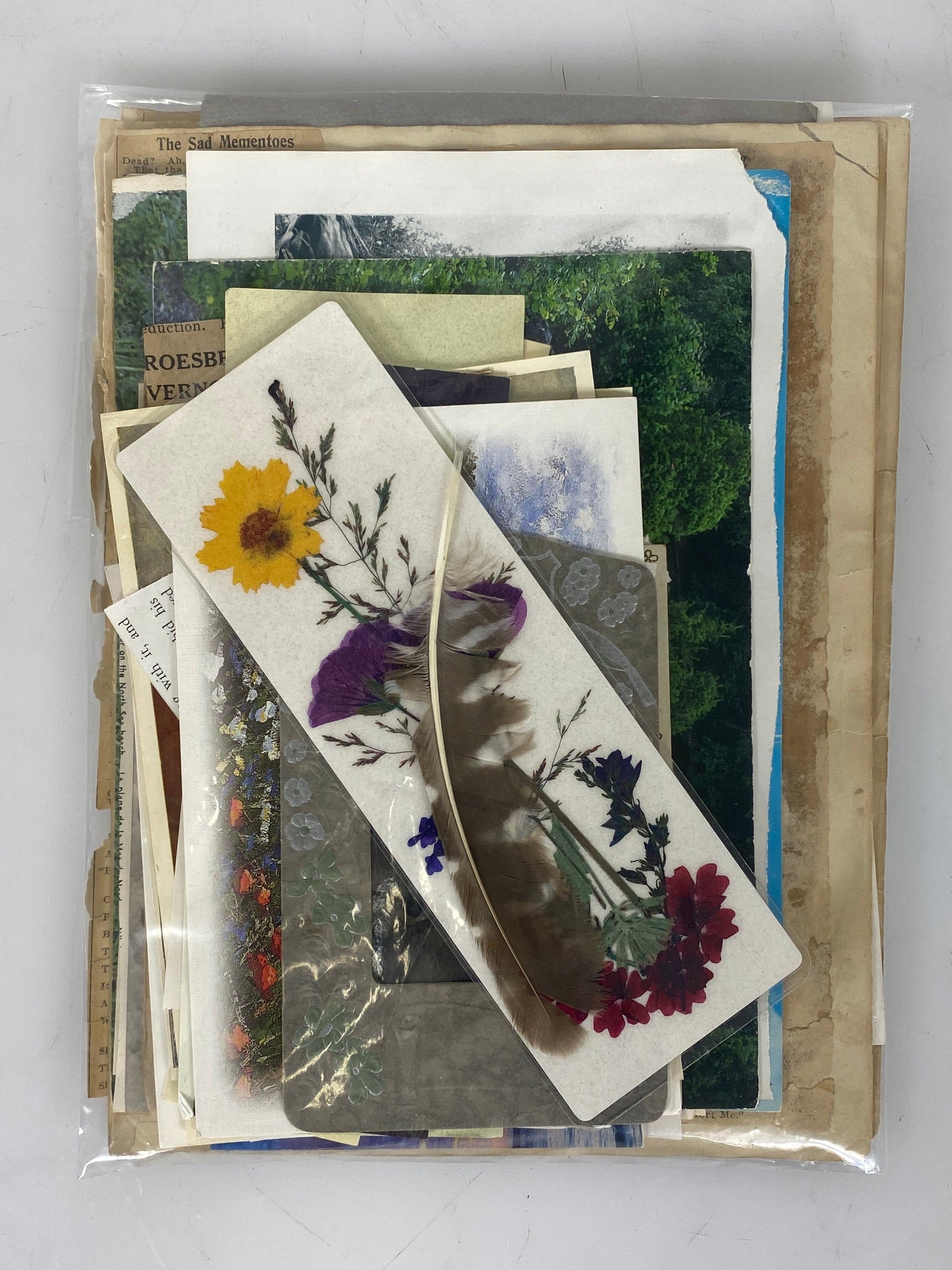 Nature Park Paper Ephemera Pack - 50 pcs