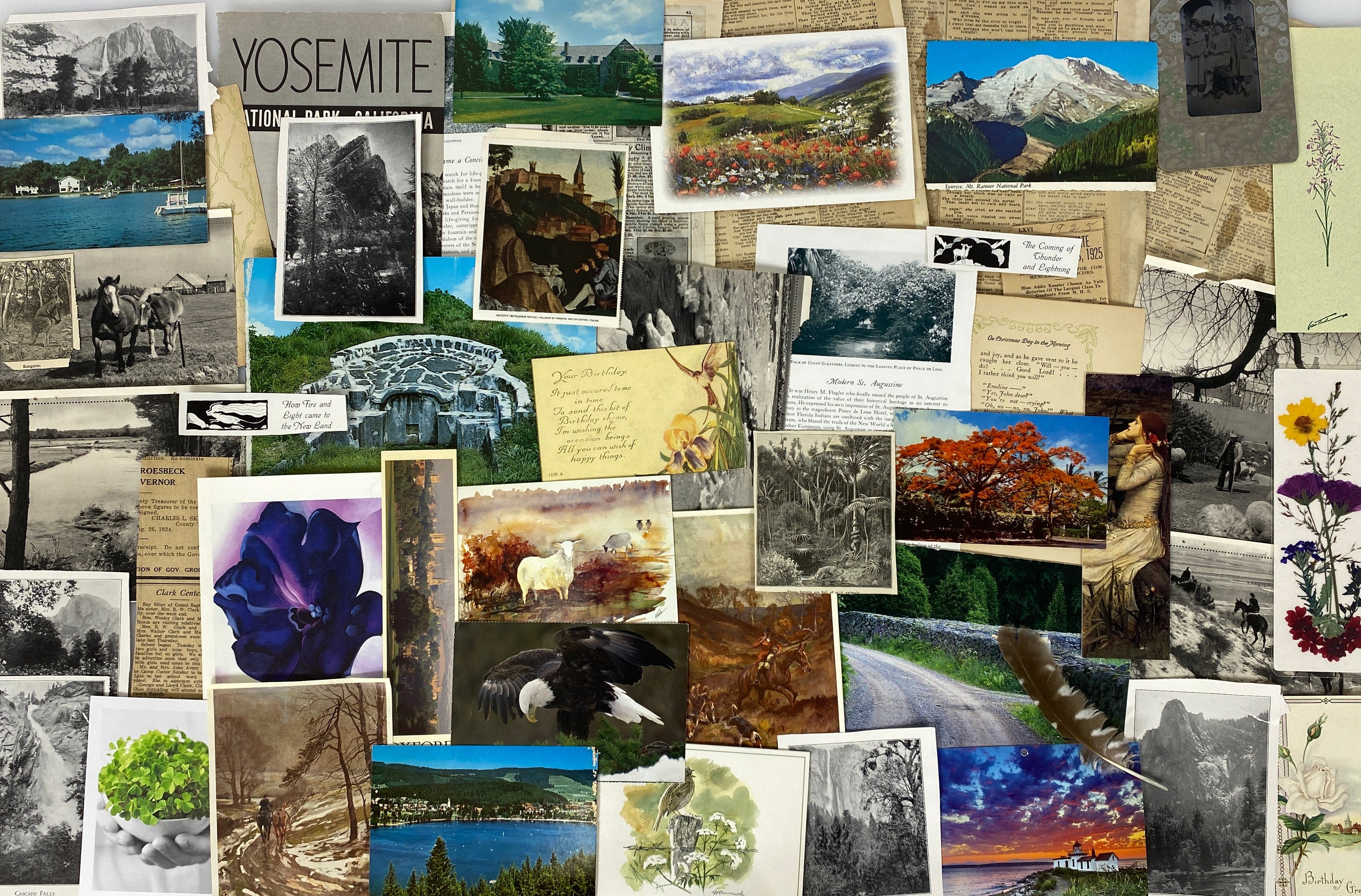Nature Park Paper Ephemera Pack - 50 pcs