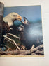 New York Times Magazine America at 200 July 4, 1976