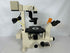 Nikon Diaphot 300 Inverted Phase Contrast Microscope *Untested*