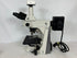 Nikon Eclipse 50i Microscope