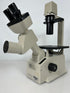 Nikon TMS Inverted Phase Contrast Microscope #1