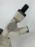 Nikon TMS Inverted Phase Contrast Microscope #1