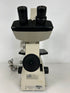 Nikon TMS Inverted Phase Contrast Microscope #1