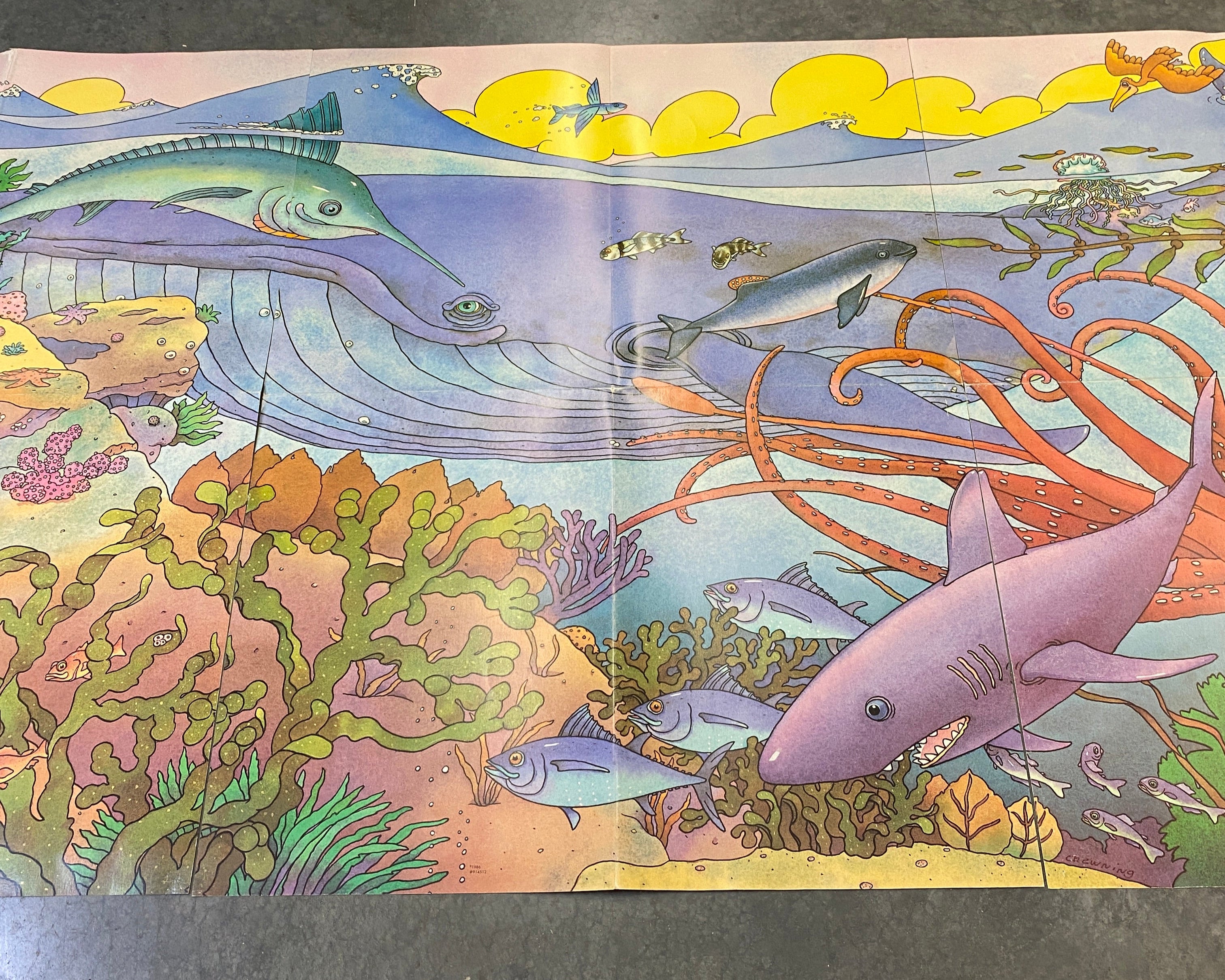 Ocean Life 3 Panel Poster