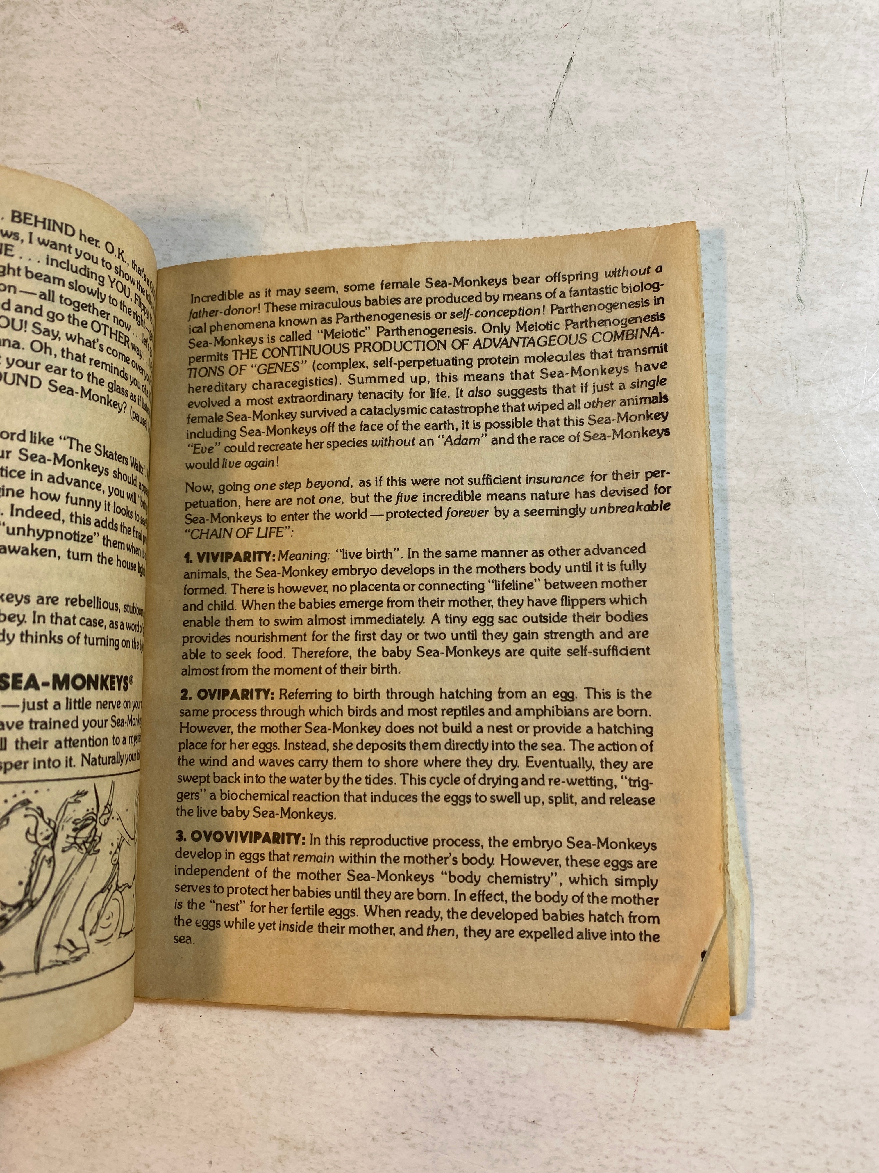 Official Sea-Monkey Handbook 1985