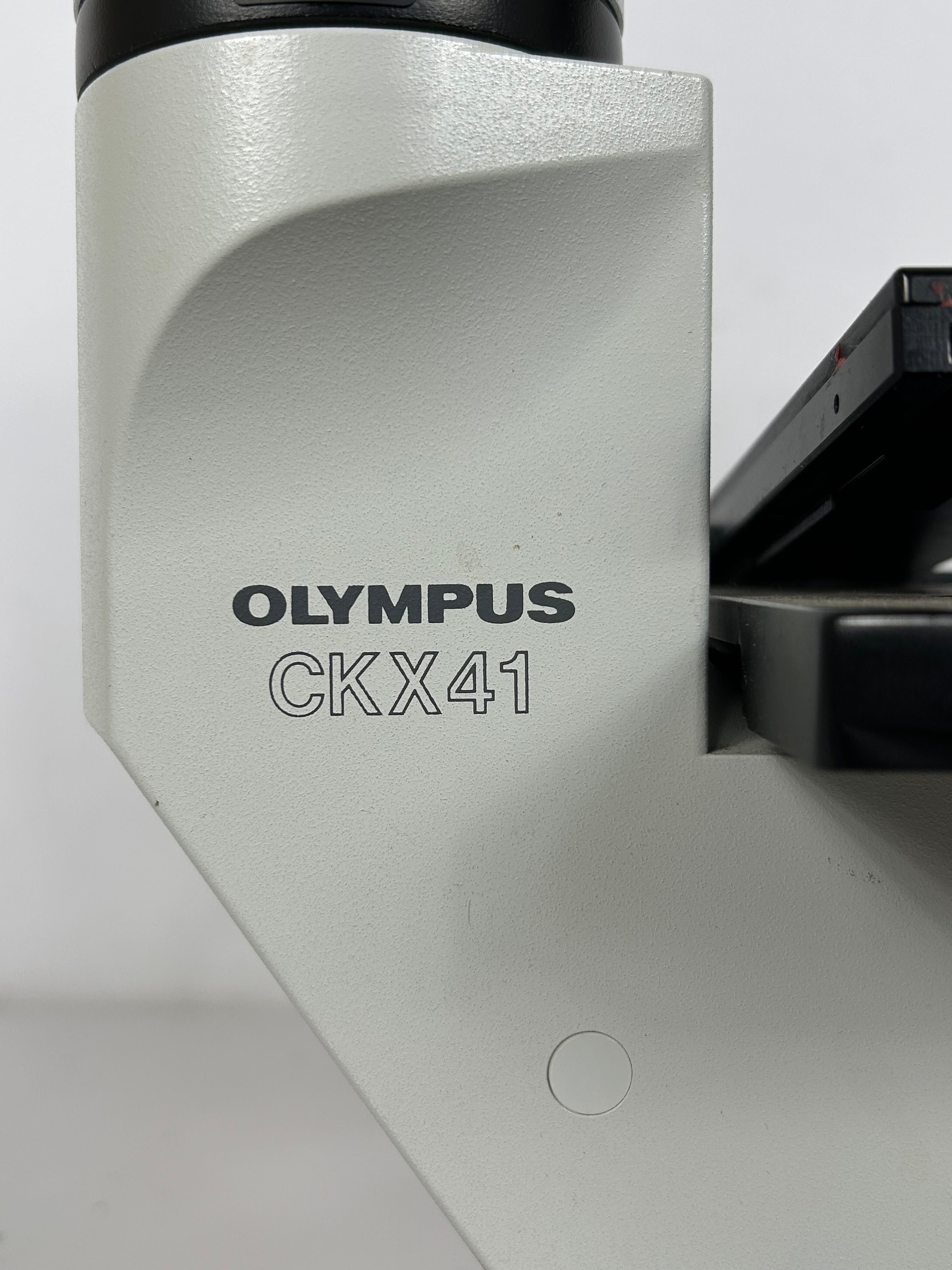 Olympus CKX41 Inverted Phase Contrast Microscope