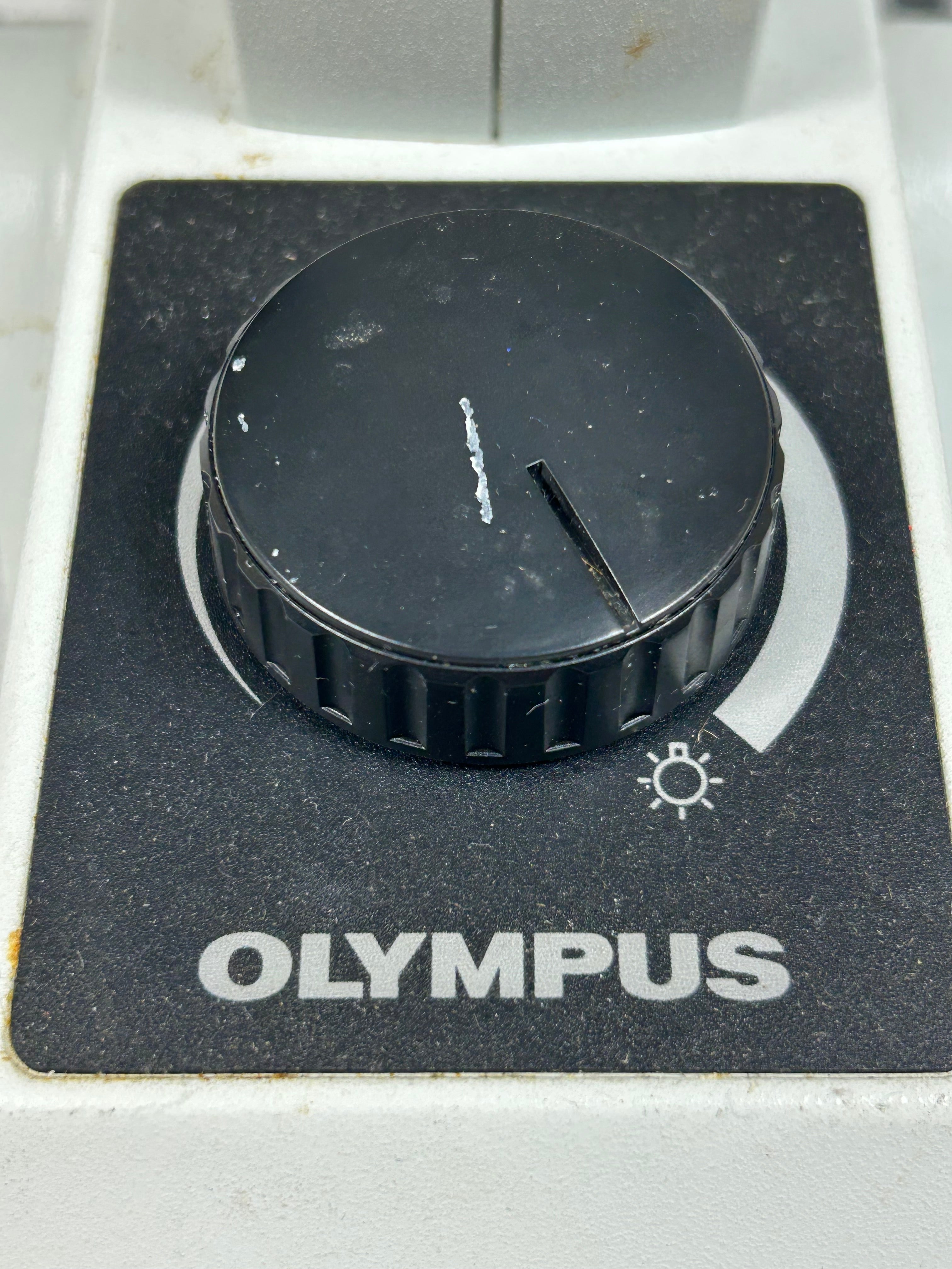 Olympus CKX41 Inverted Phase Contrast Microscope