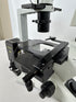 Olympus CKX41 Inverted Phase Contrast Microscope