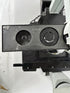 Olympus CKX41 Inverted Phase Contrast Microscope