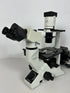 Olympus CKX41 Inverted Phase Contrast Microscope