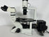 Olympus CKX41 Inverted Phase Contrast Microscope