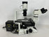 Olympus CKX41 Inverted Phase Contrast Microscope