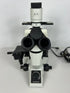 Olympus CKX41 Inverted Phase Contrast Microscope