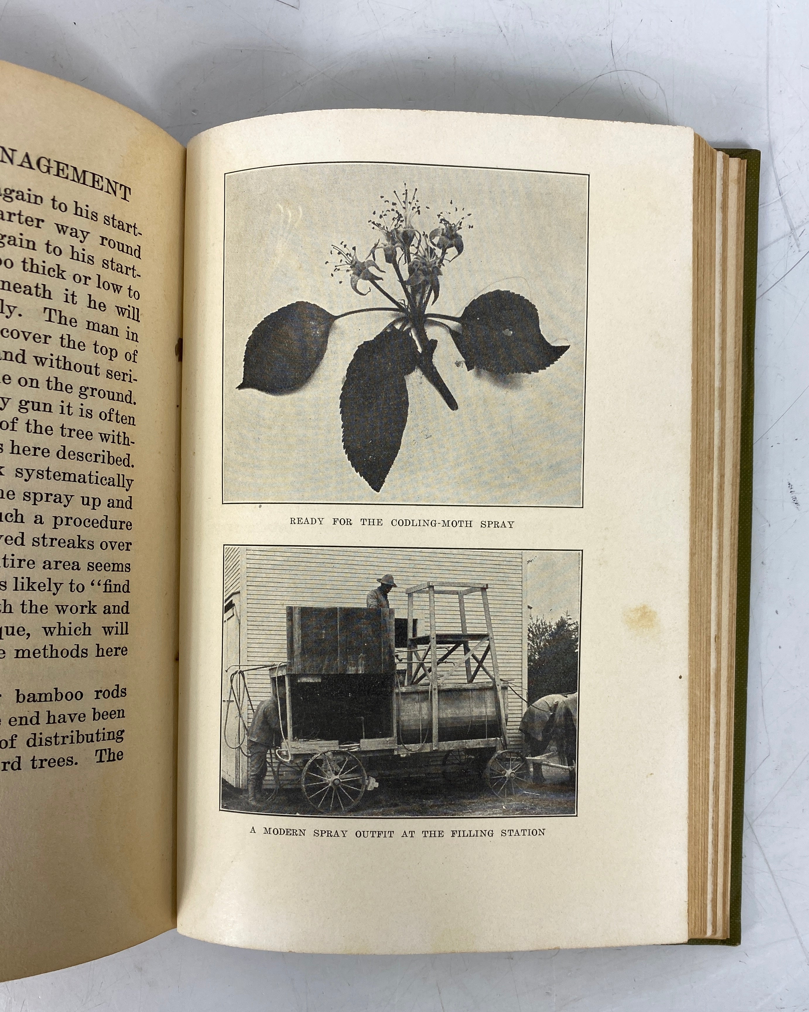 Orchard Management by J.H. Gourley 1925 Rare Antique 1st Edition HC