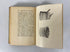 Orchard Management by J.H. Gourley 1925 Rare Antique 1st Edition HC