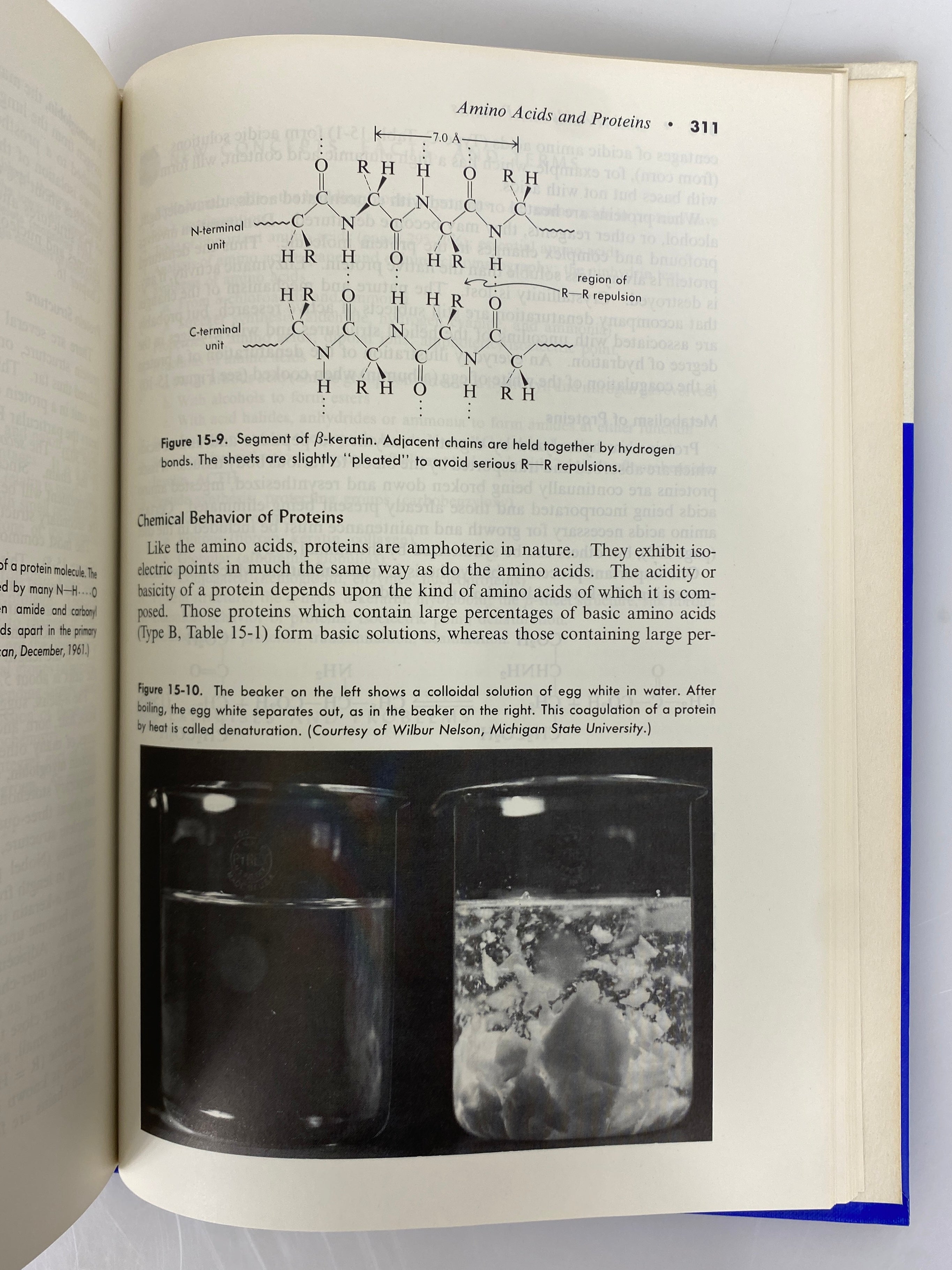 Organic Chemistry by Hart/Schuetz 1966 Signed Vintage HC Textbook