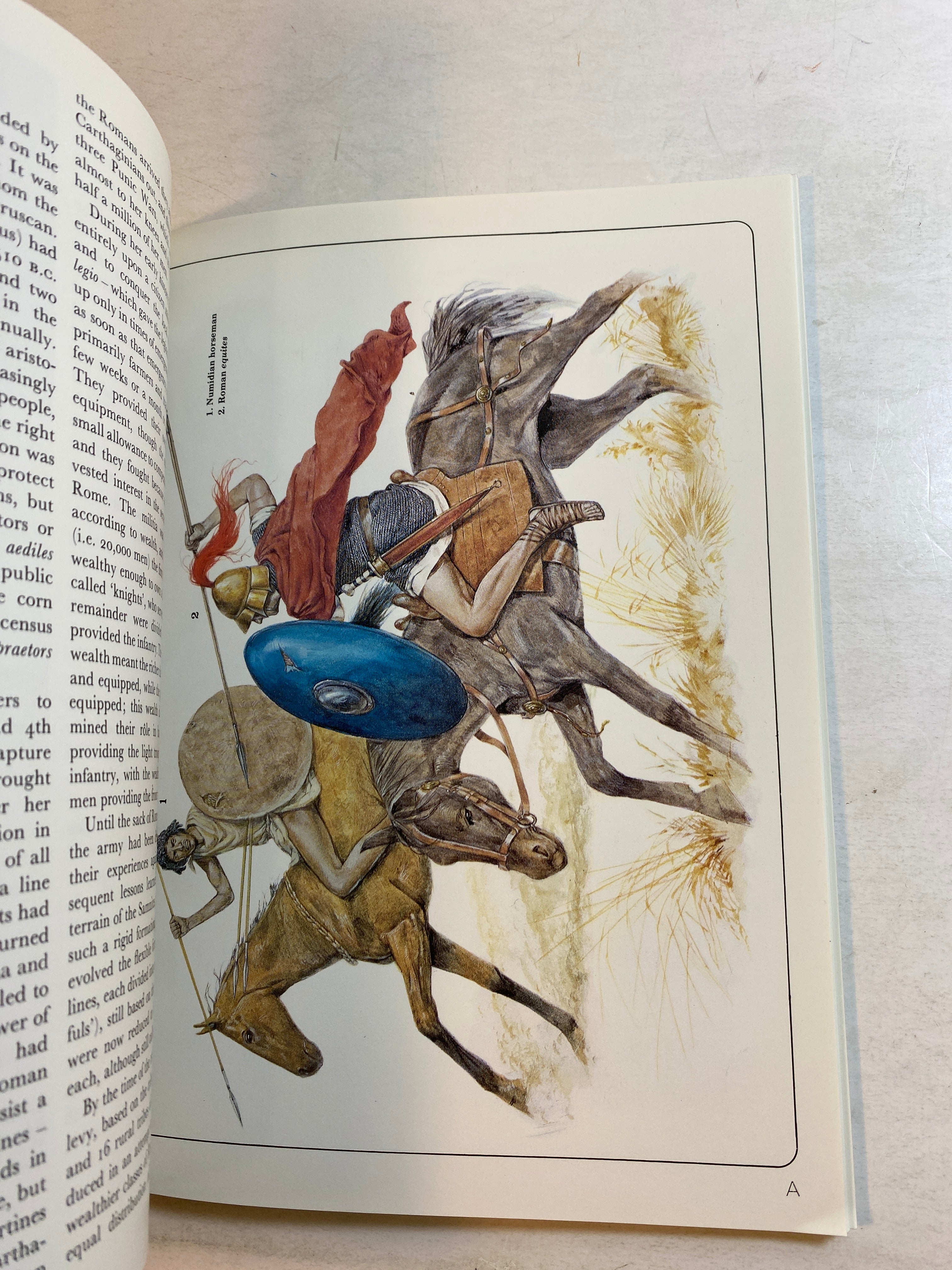 Osprey Men-At-Arms Series #121 Armies of the Carthaginian Wars 1982