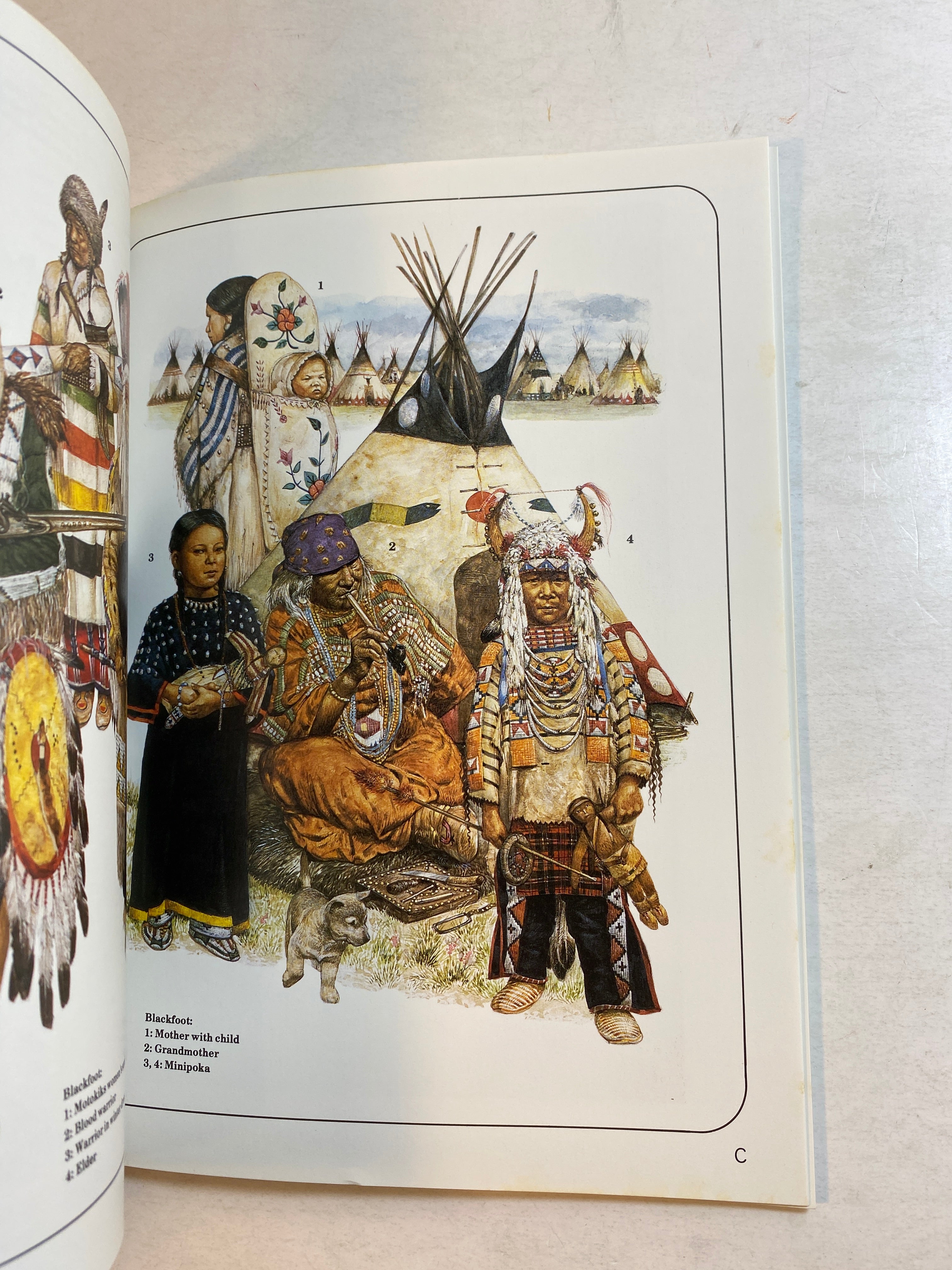 Osprey Men-At-Arms Series #163 American Plains Indians 1985