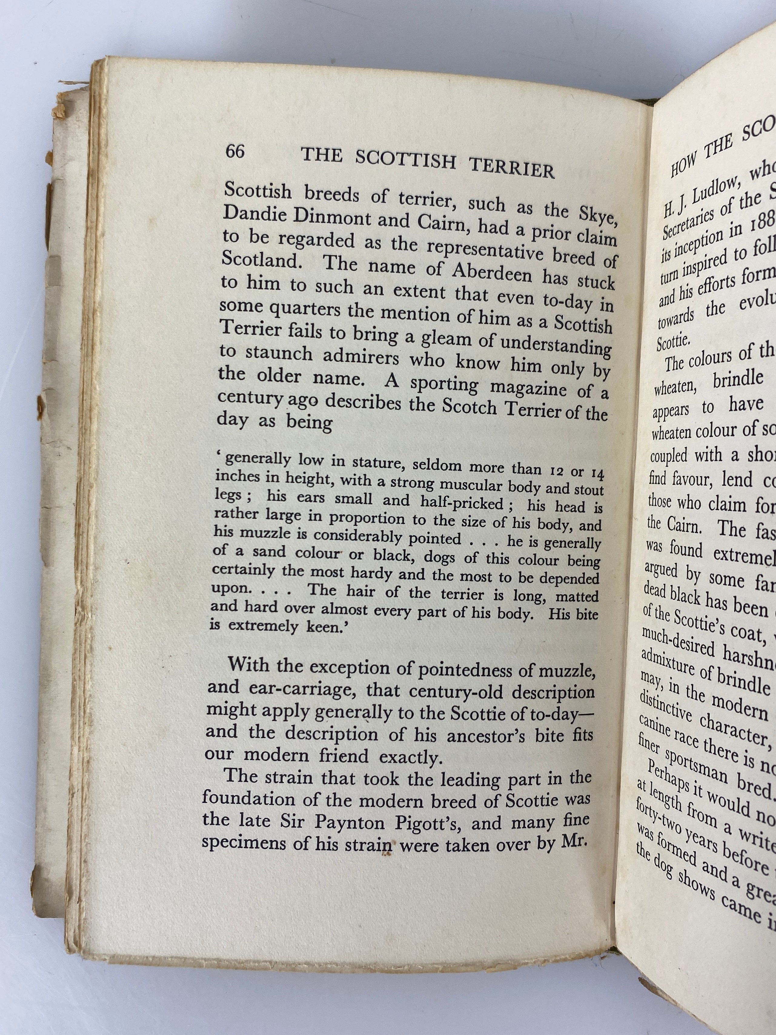 Our Friend the Scottish Terrier by Rowland Johns 1933 Vintage HC DJ