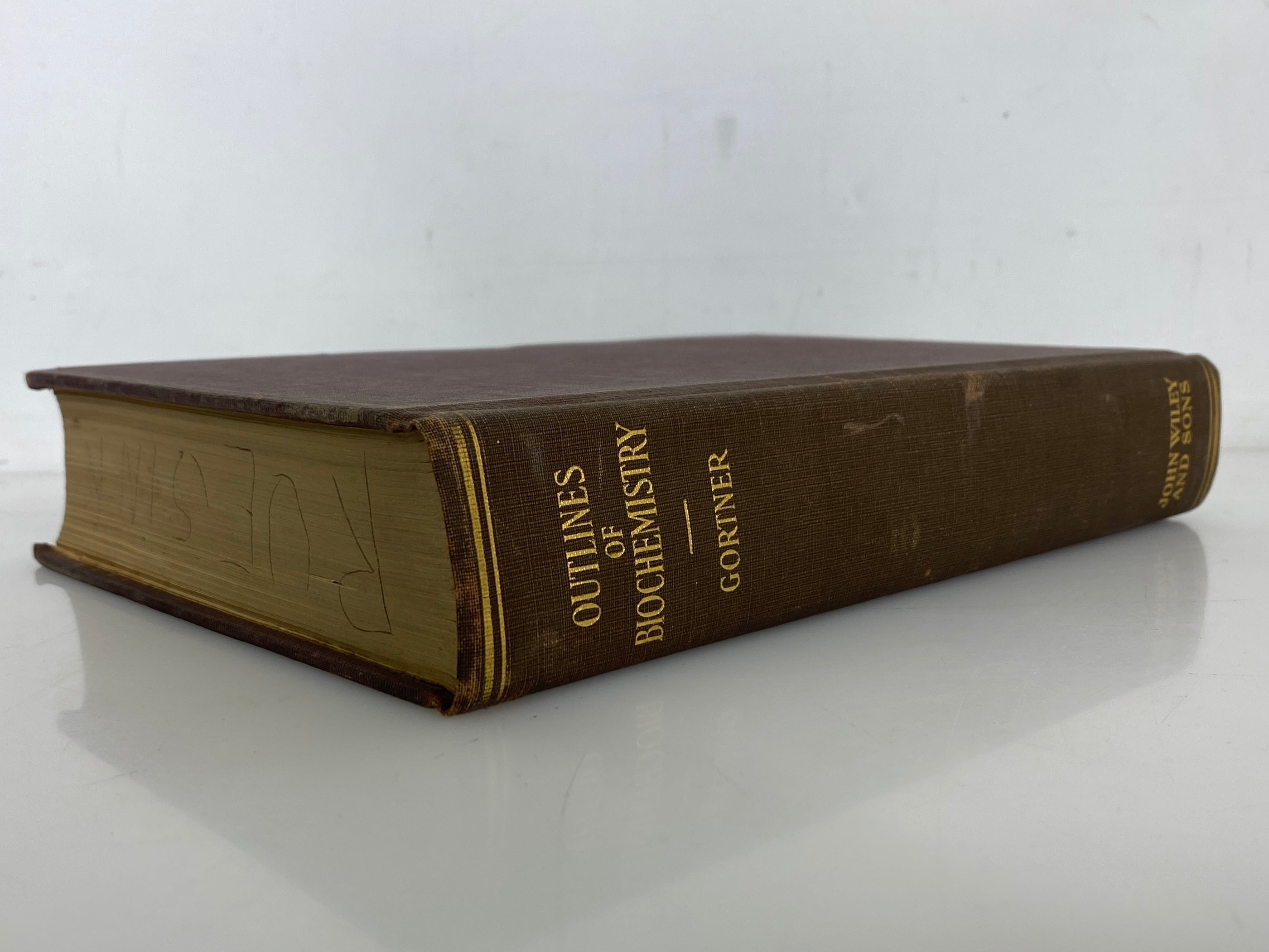 Outlines of Biochemistry by Ross Aiken Gortner 1929 1st Edition HC