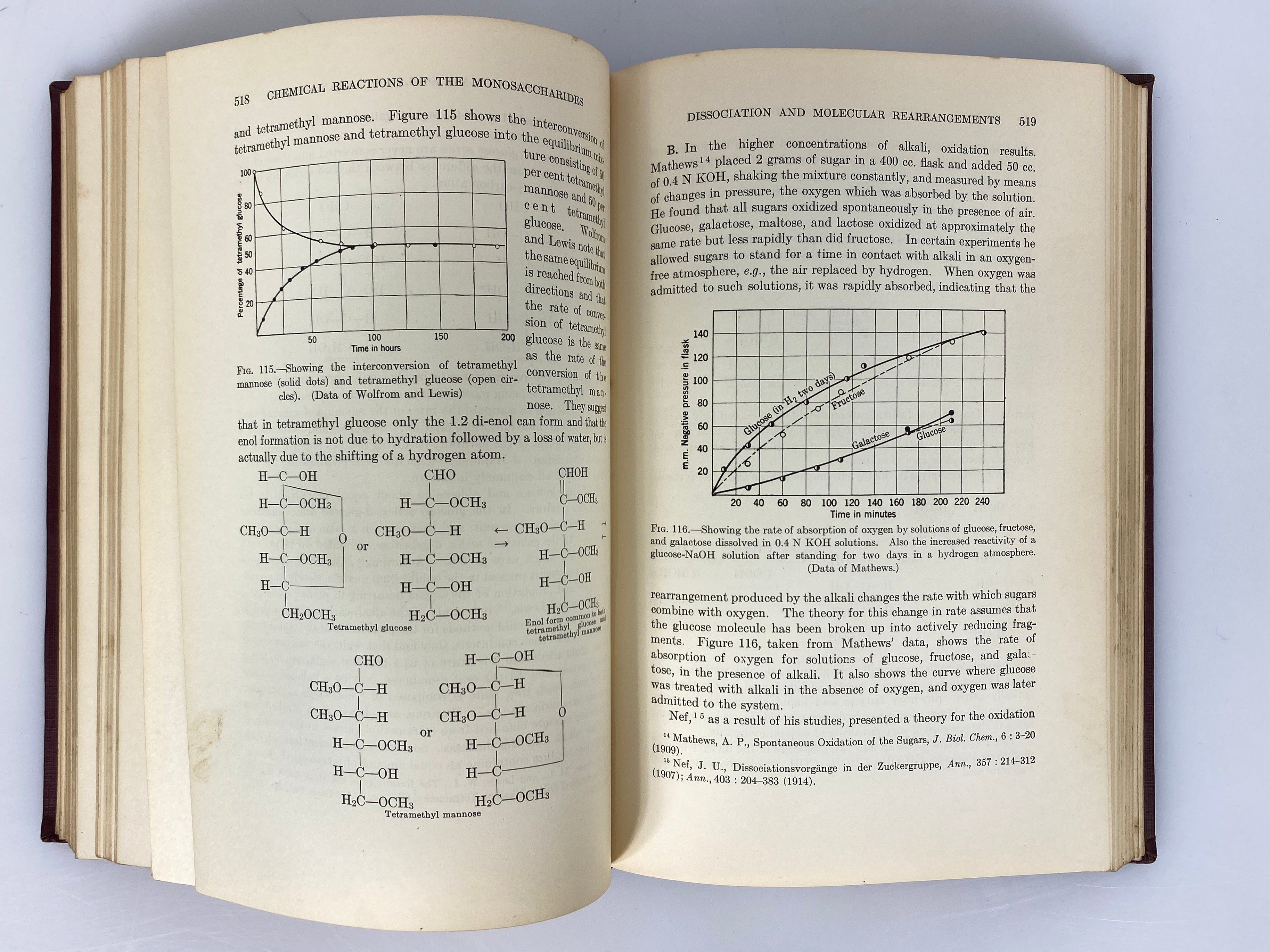 Outlines of Biochemistry by Ross Aiken Gortner 1929 1st Edition HC