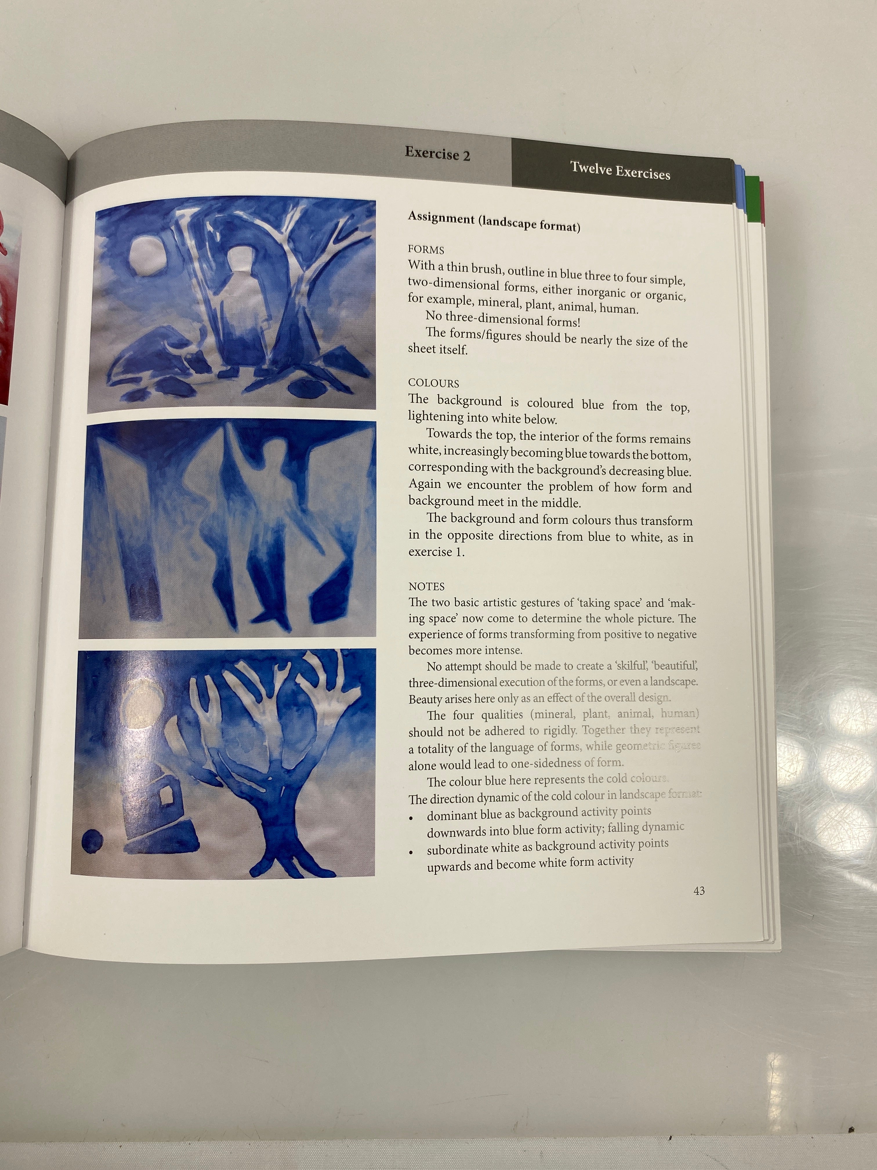 Painting and Drawing in Waldorf Schools Classes 1-8 by Wildgruber 2012 SC