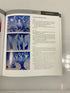 Painting and Drawing in Waldorf Schools Classes 1-8 by Wildgruber 2012 SC