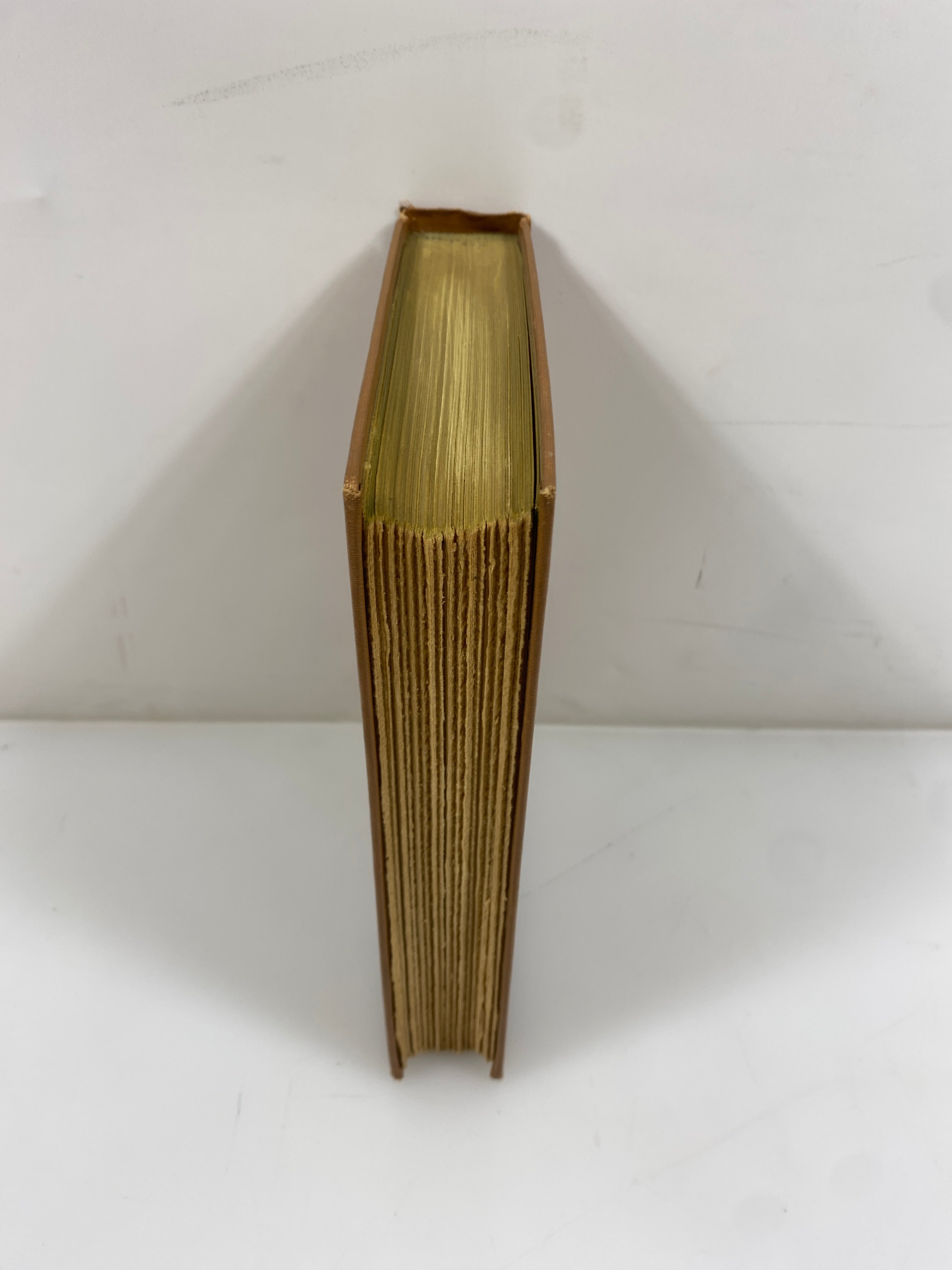 Paul Bunyan by James Stevens Garden City Publishing 1925 HC