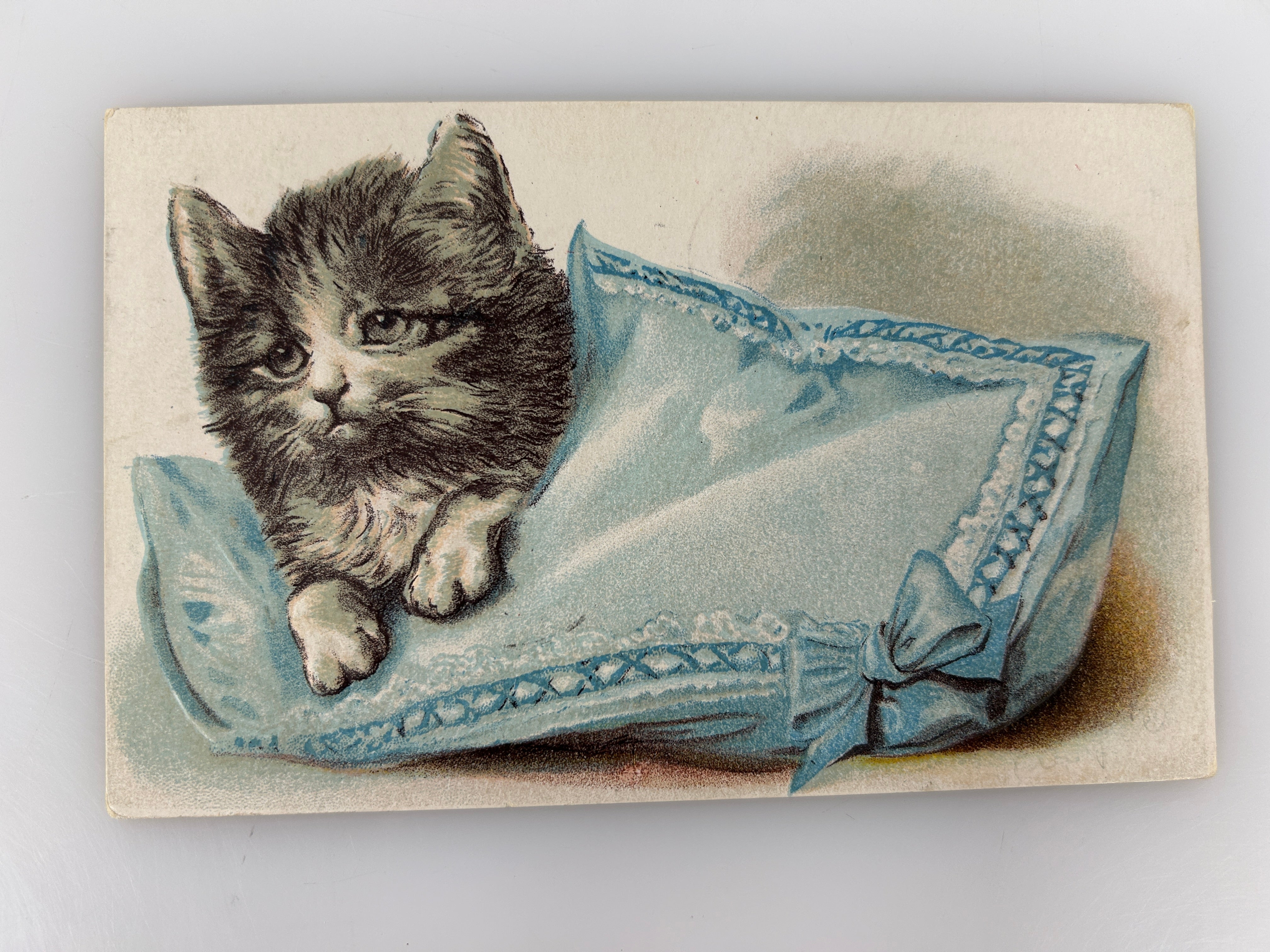 PC CAT, KITTEN SLEEPING ON A PILLOW, Vintage Embossed Postcard (b38457)