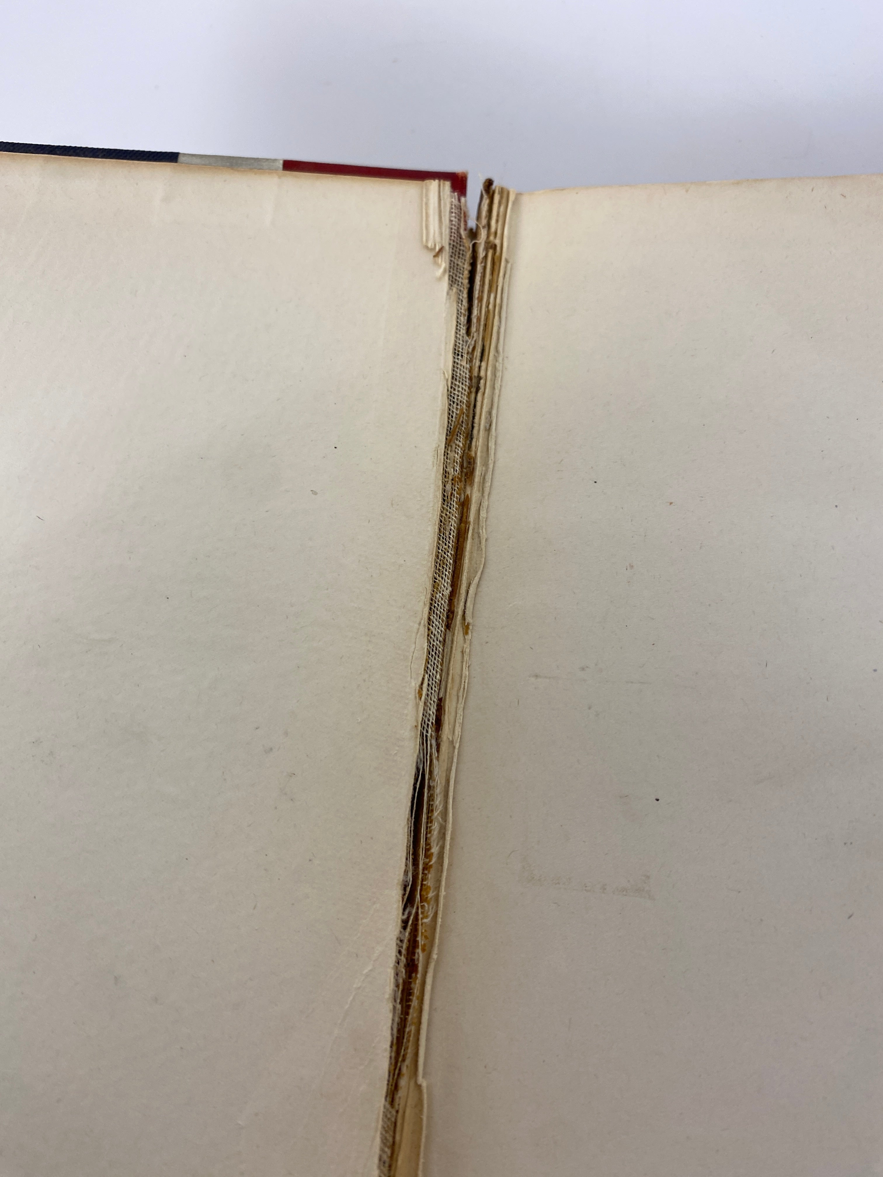 Peck's Bad Boy Abroad by Hon. Geo. W. Peck 1905 Antique HC