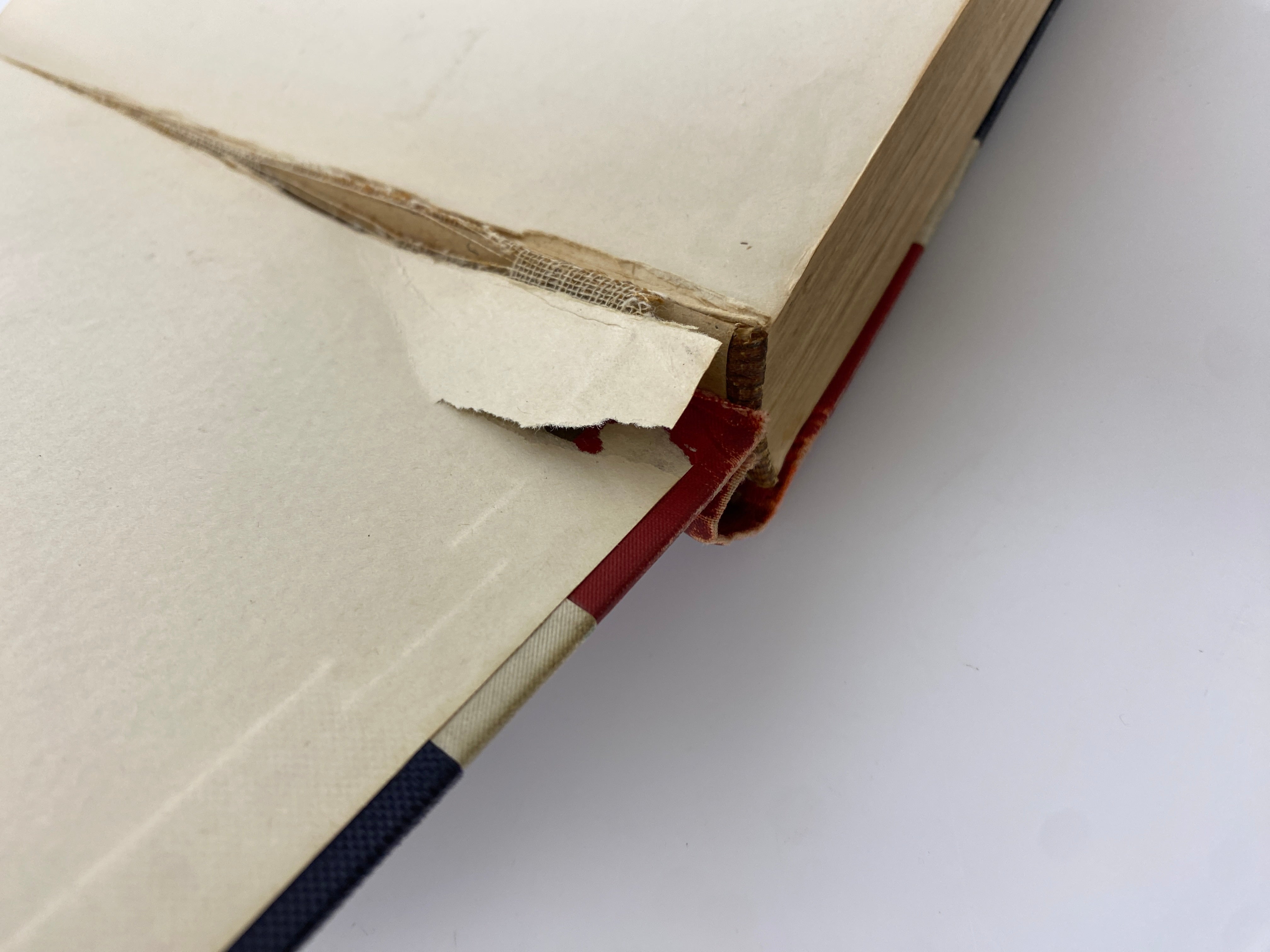 Peck's Bad Boy Abroad by Hon. Geo. W. Peck 1905 Antique HC