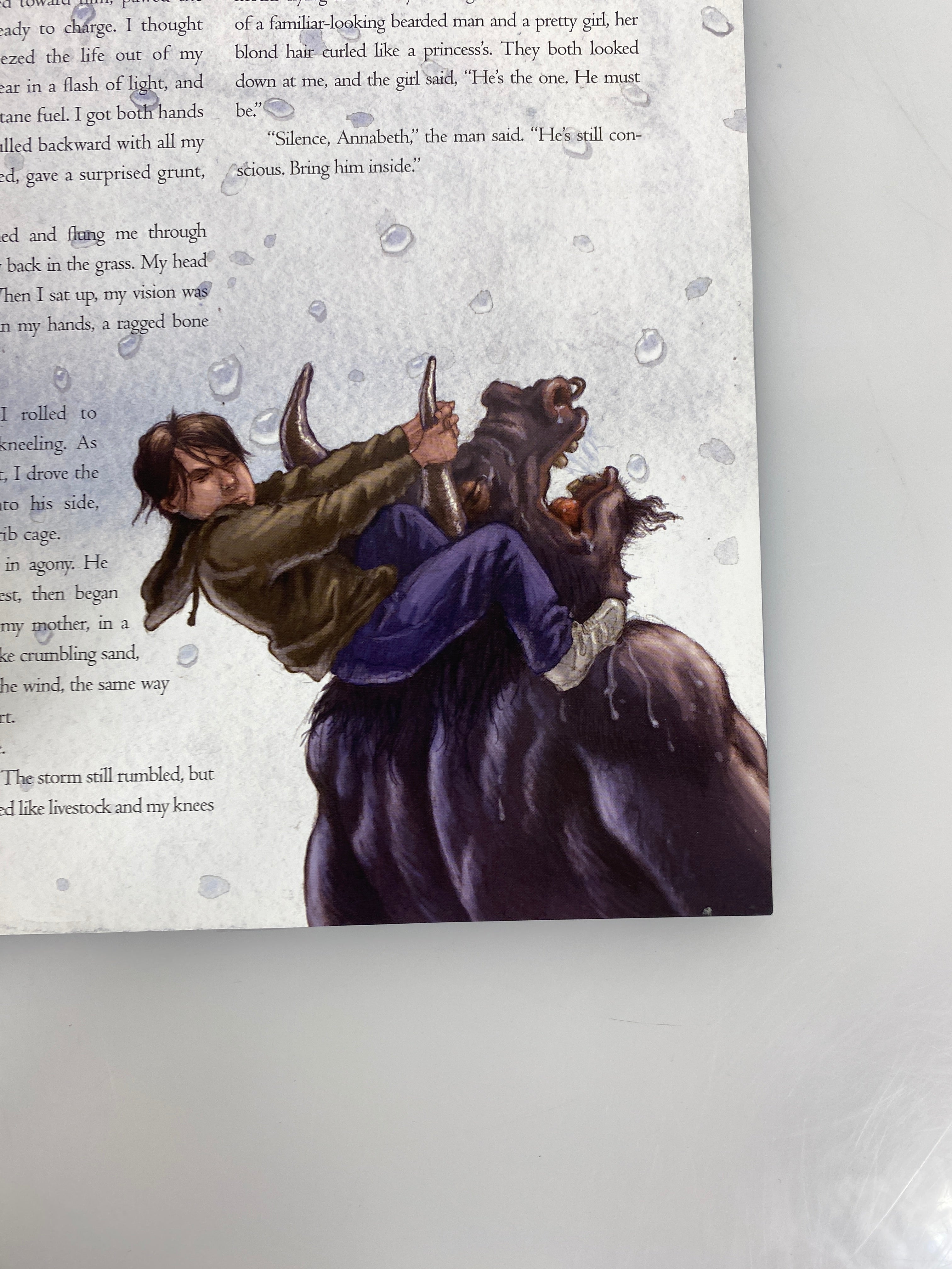 Percy Jackson Lightning Thief Illustrated Rick Riordan 2018 HCDJ