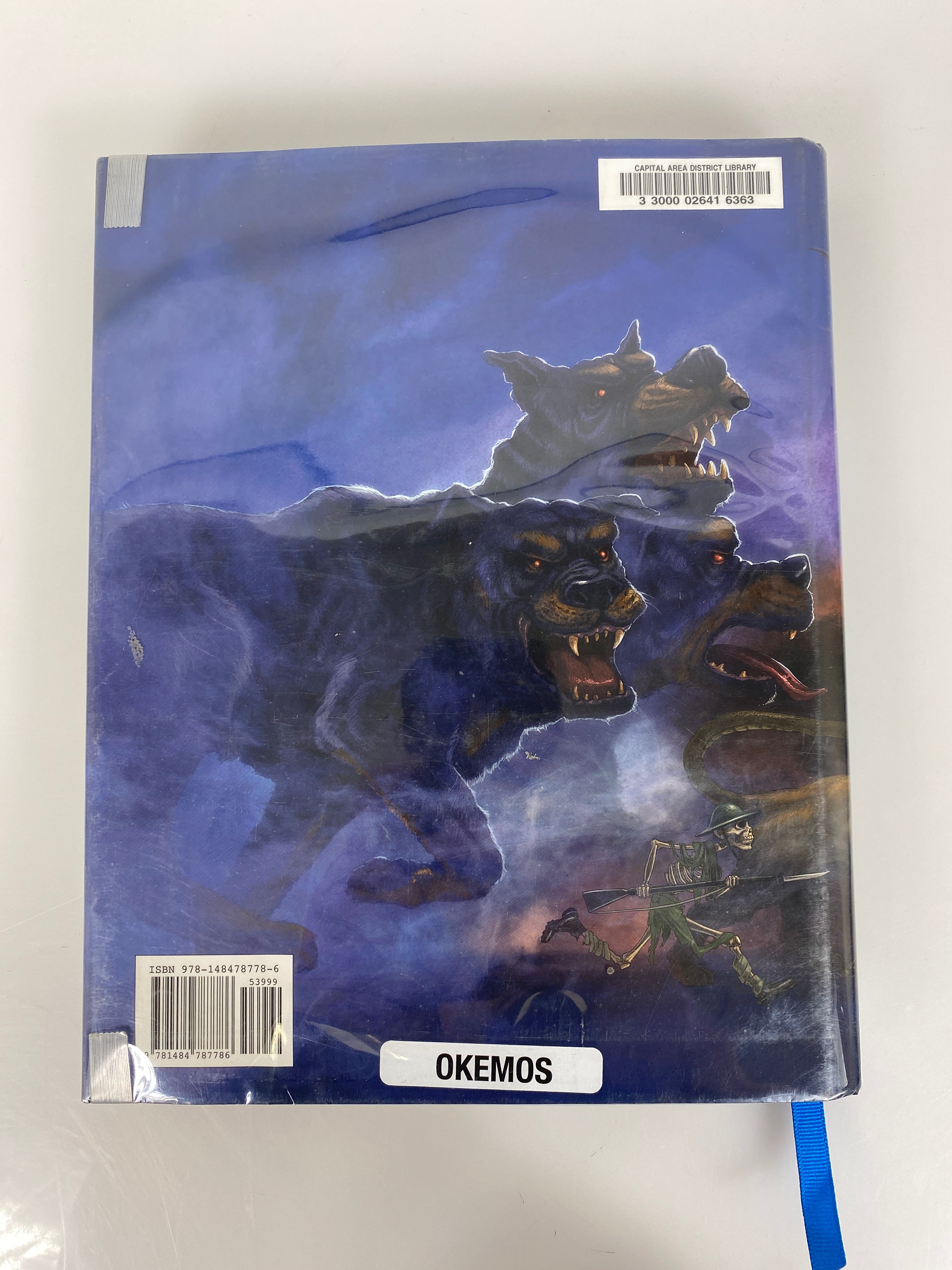 Percy Jackson Lightning Thief Illustrated Rick Riordan 2018 HCDJ