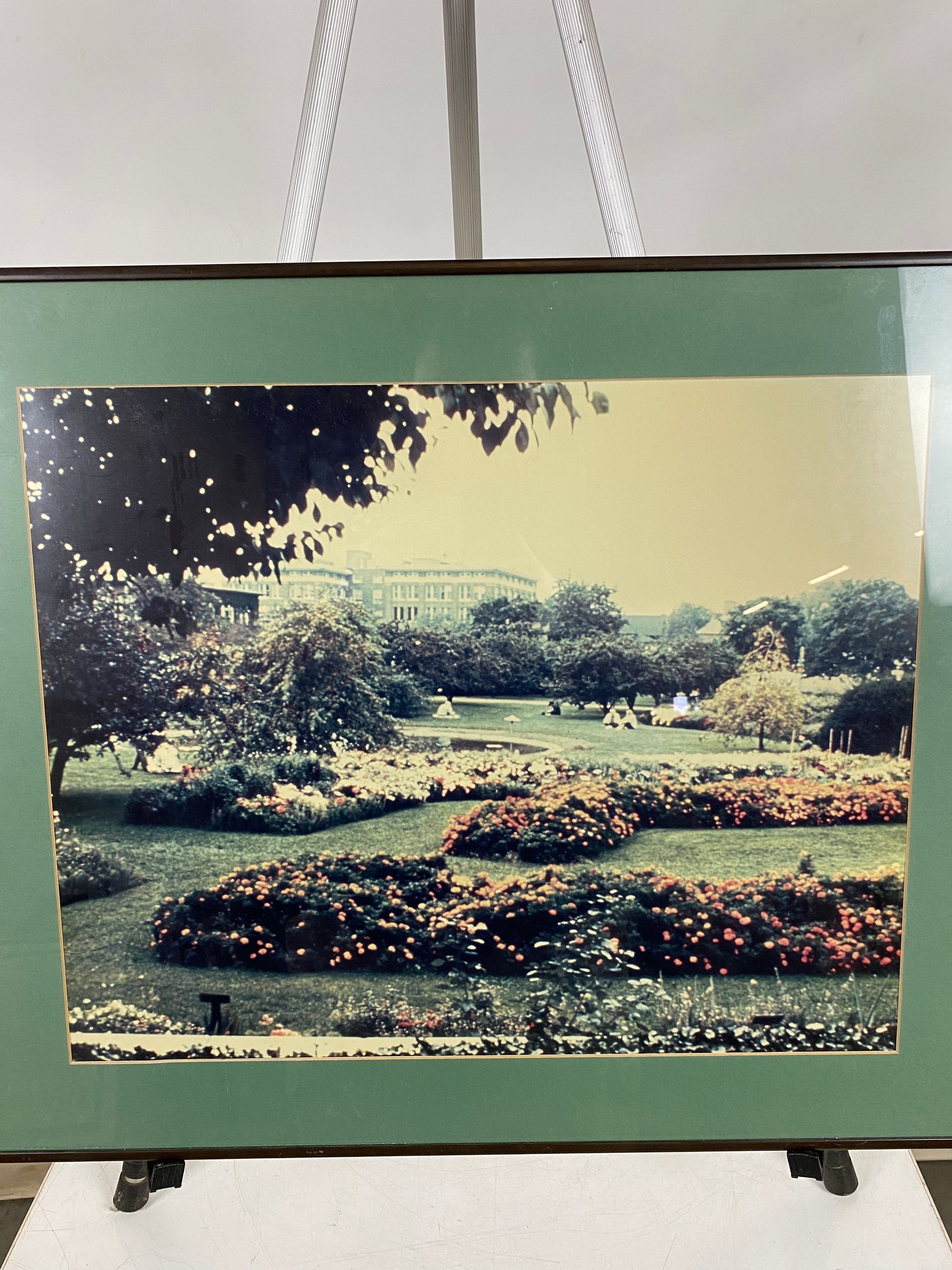 Photograph of MSU Garden