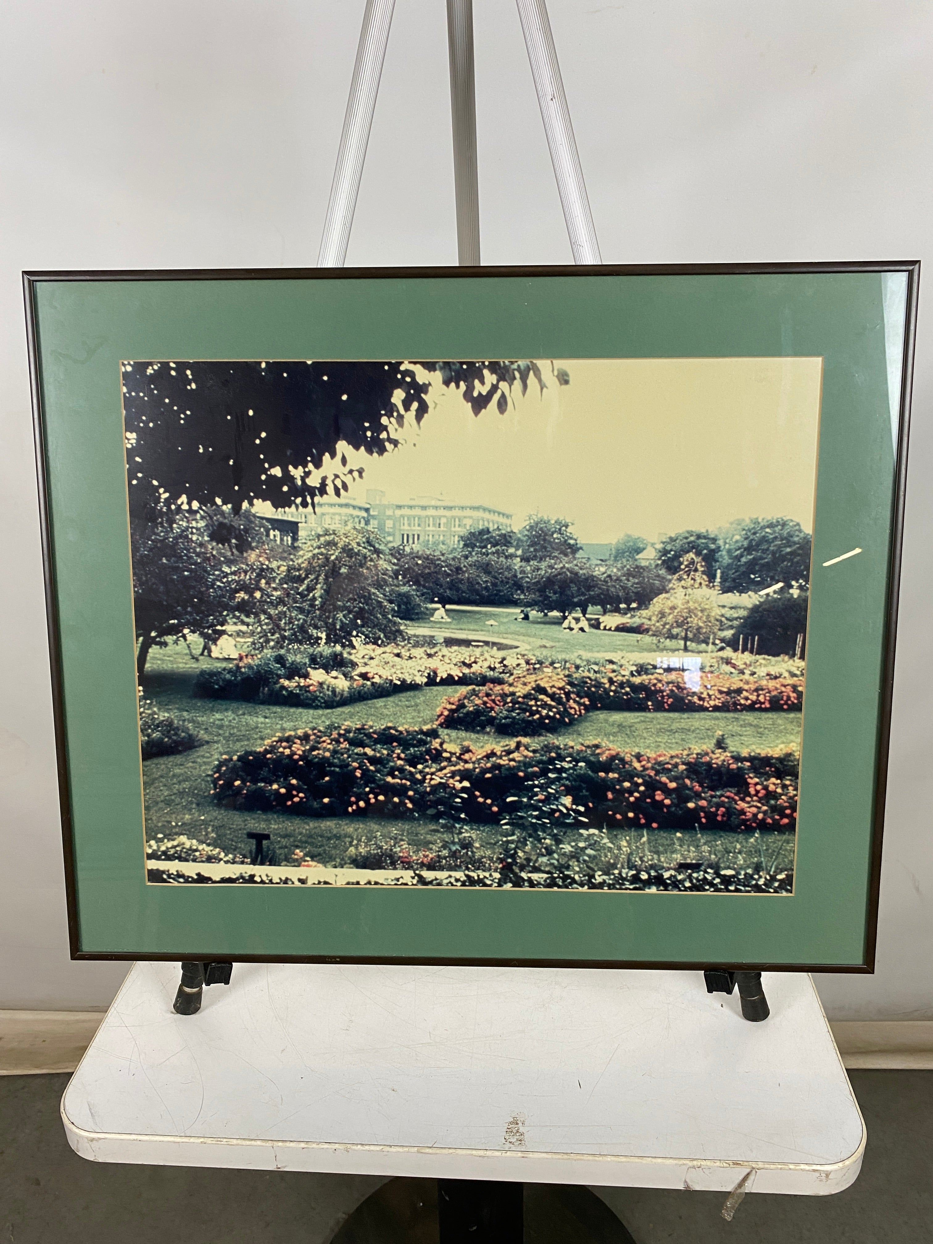 Photograph of MSU Garden