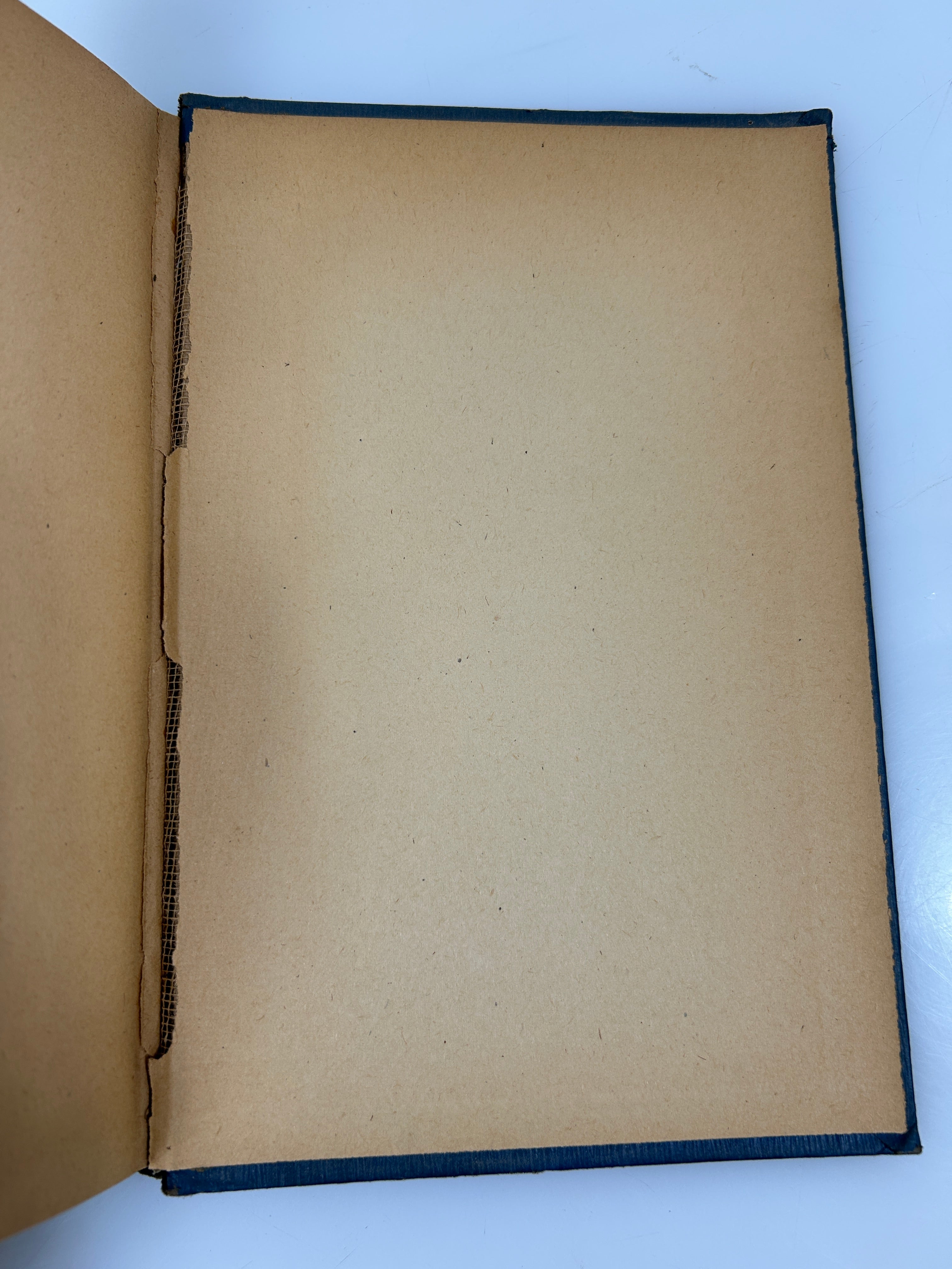 Pinocchio by C. Collodi Ill Frances Brundage Saalfied Pub 1924 HC