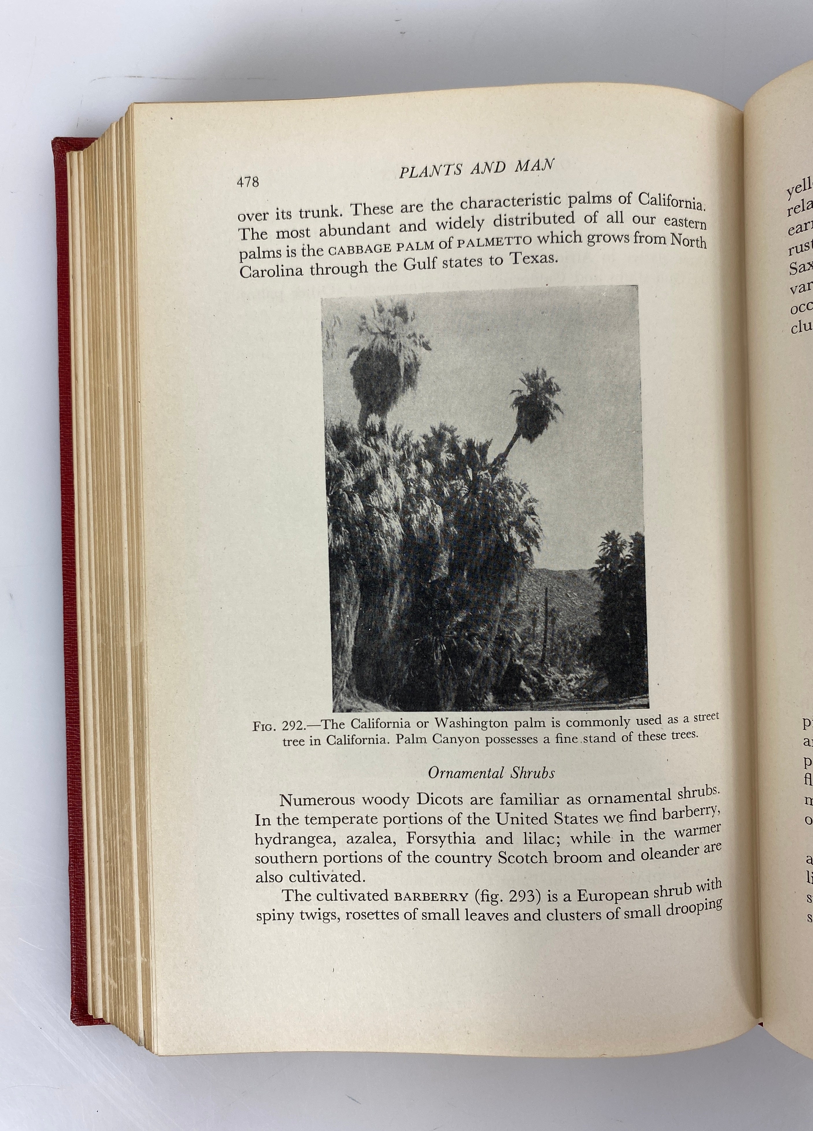 Plants and Man by Hylander/Stanley 1941 The Blakiston Company HC
