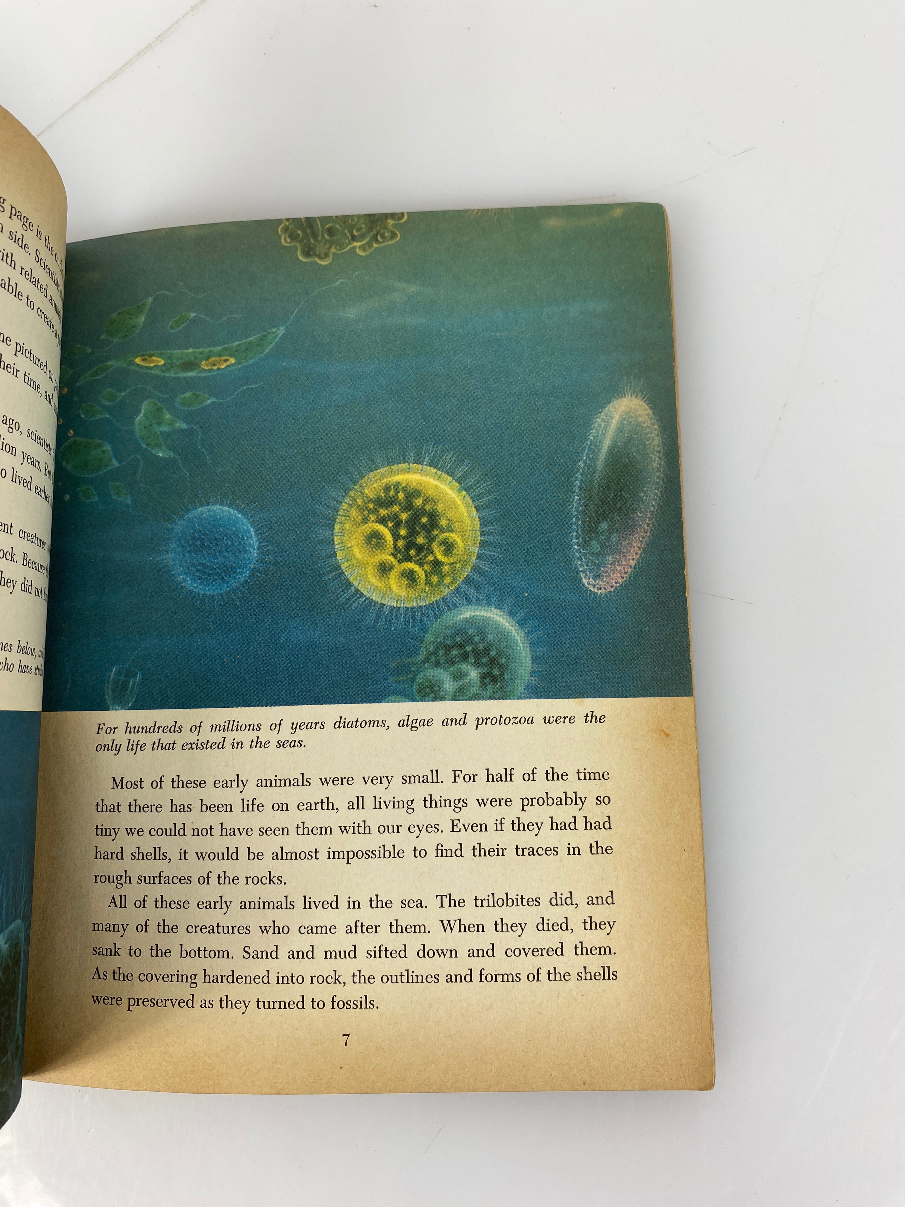 Prehistoric Animals Golden Library of Knowledge 1958