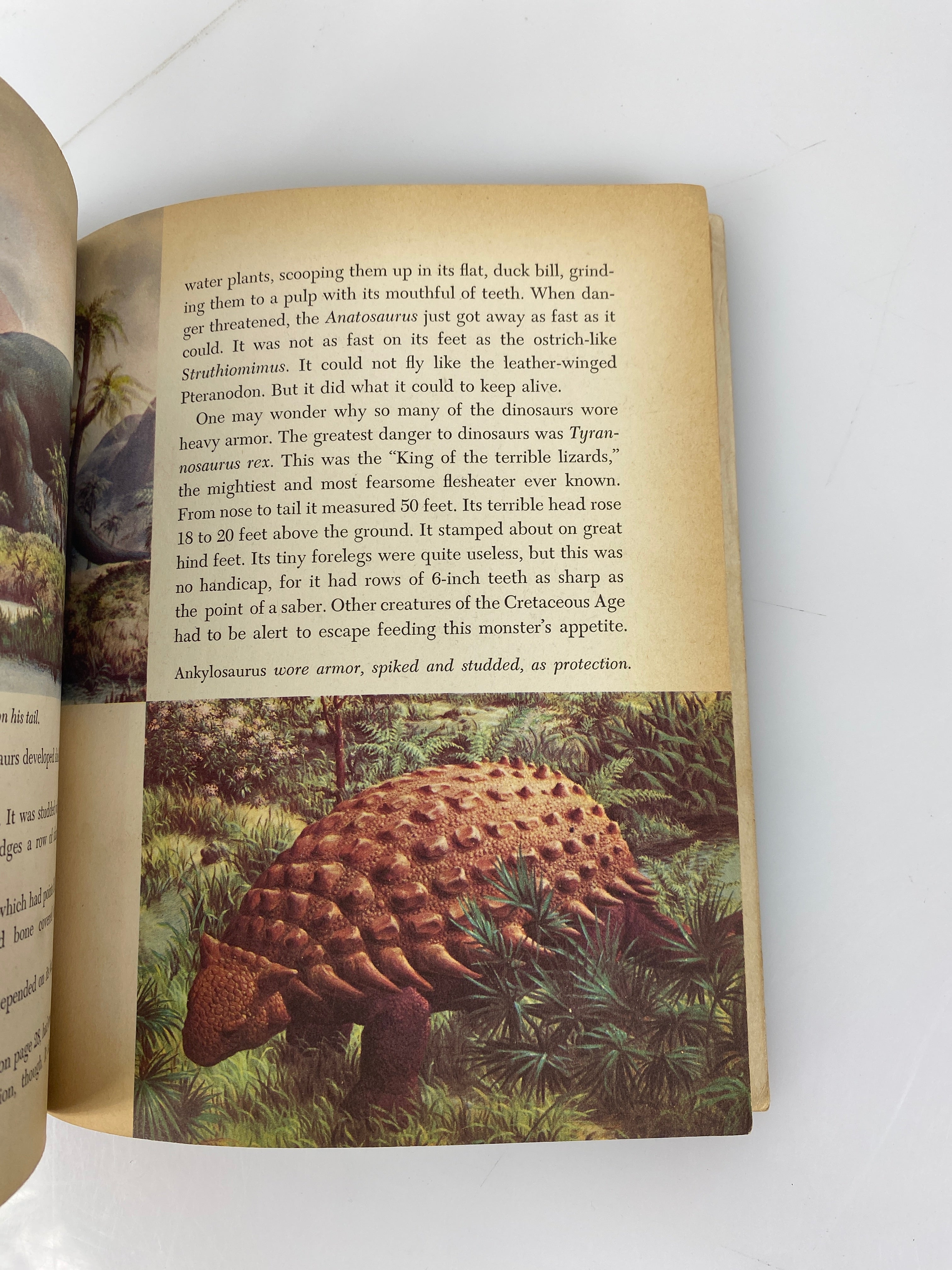 Prehistoric Animals Golden Library of Knowledge 1958