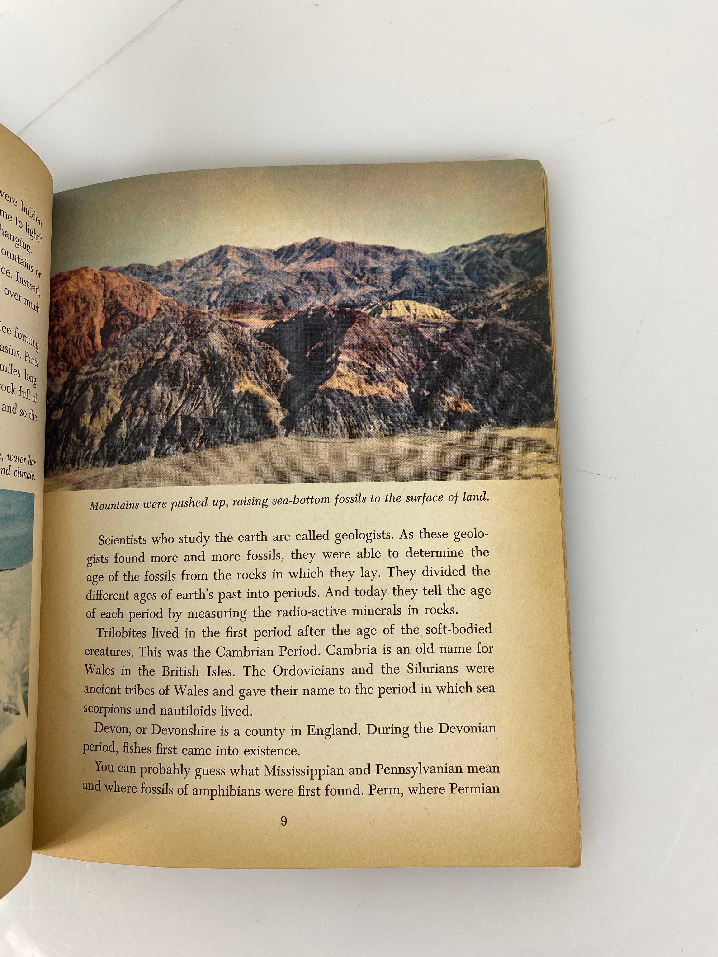 Prehistoric Animals Golden Library of Knowledge 1958