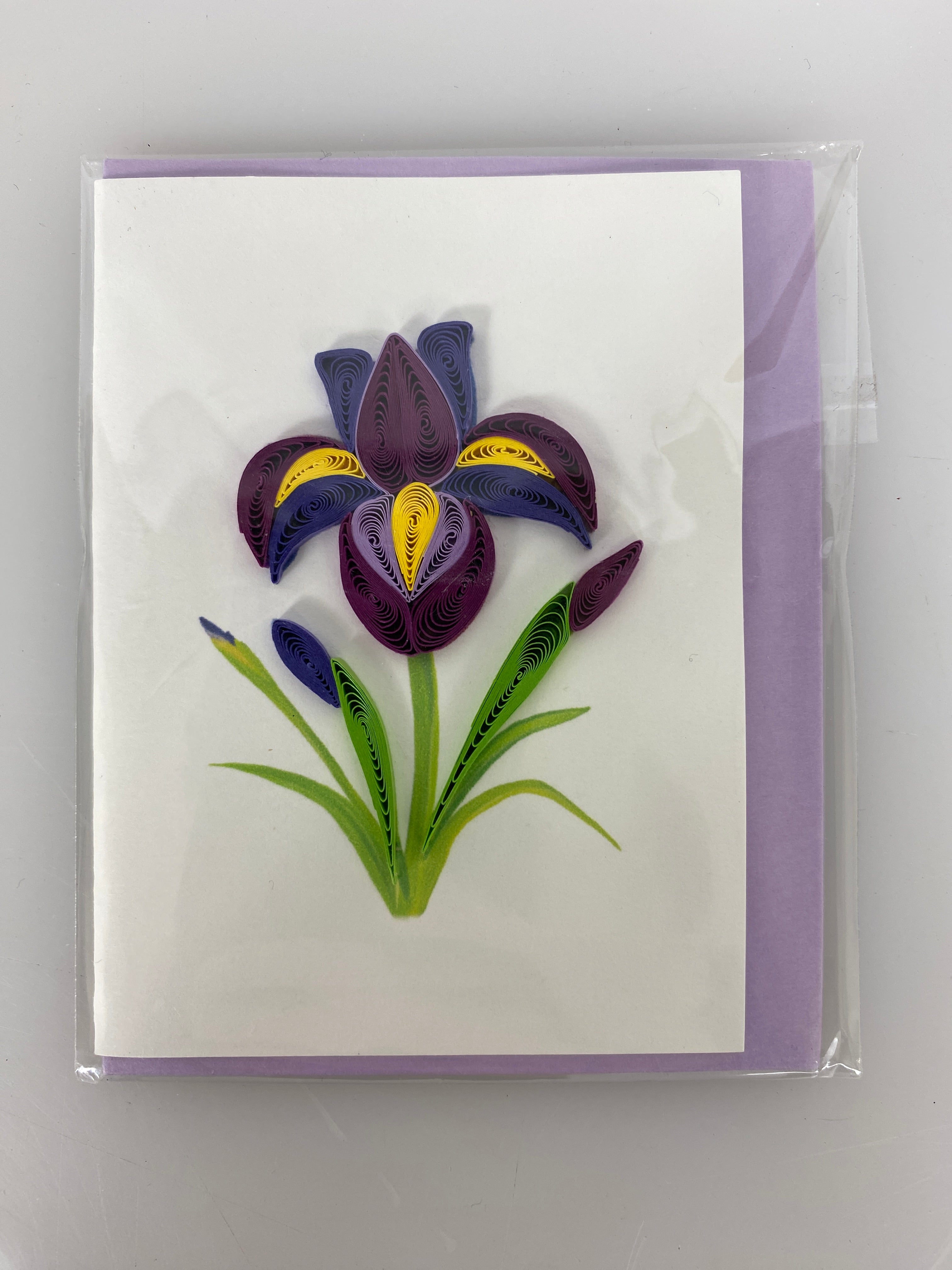 Quilled Mini Blank Greeting Card