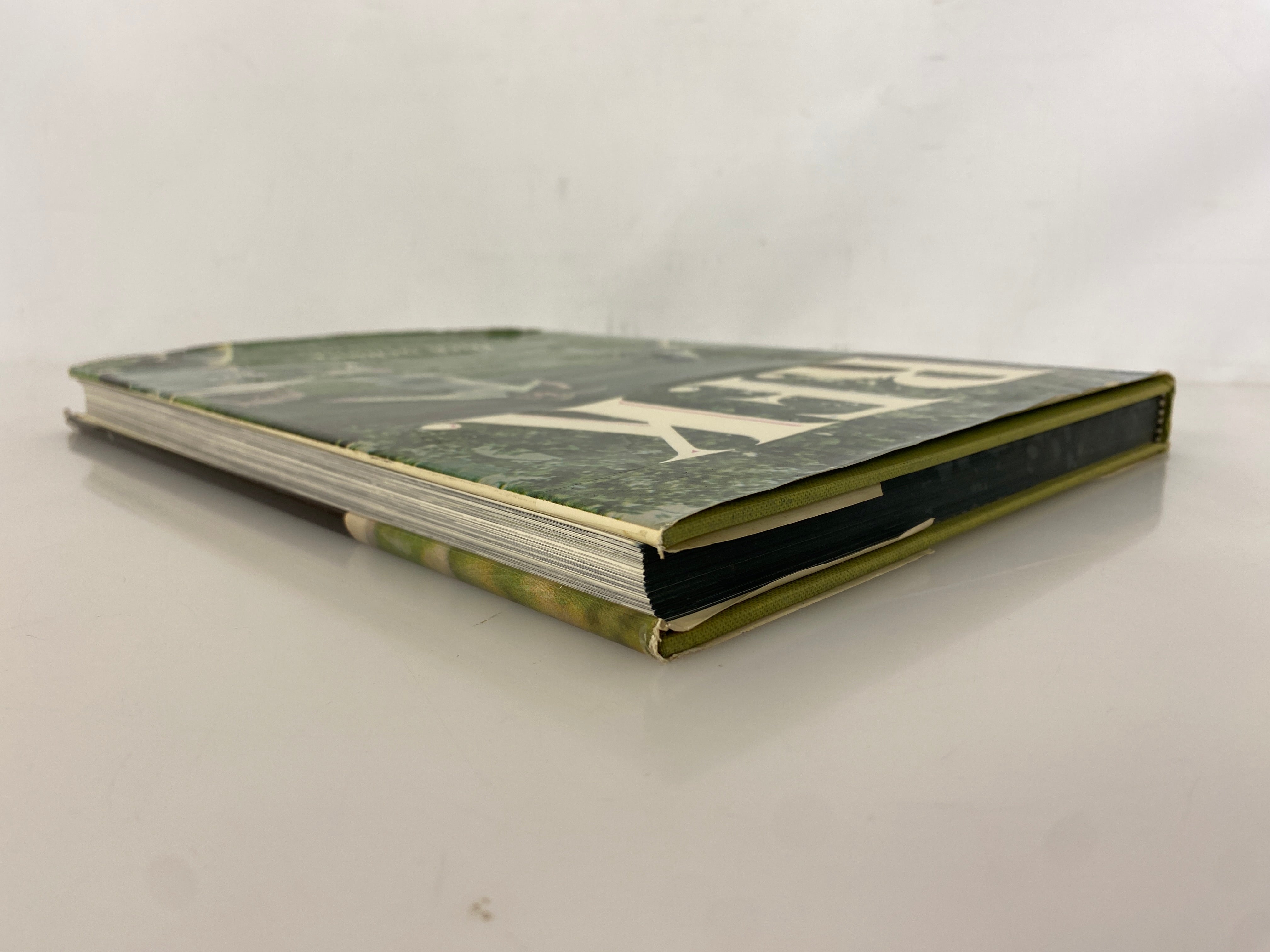 R.F.K. by Dick Schaap 1967 First Printing HC DJ