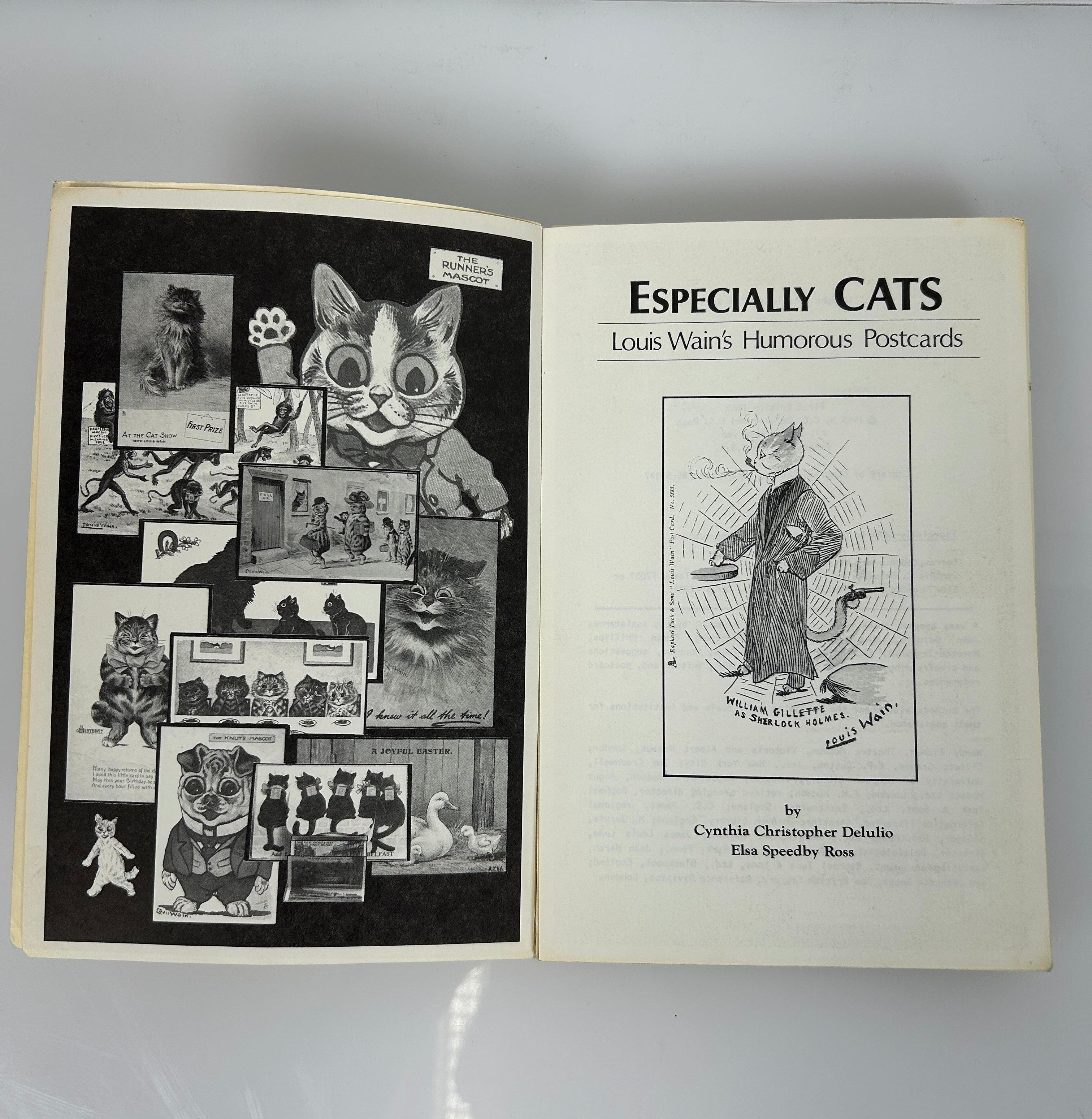 RARE "Especially Cats, Louis Wains Humorous Postcards" 1985 SC