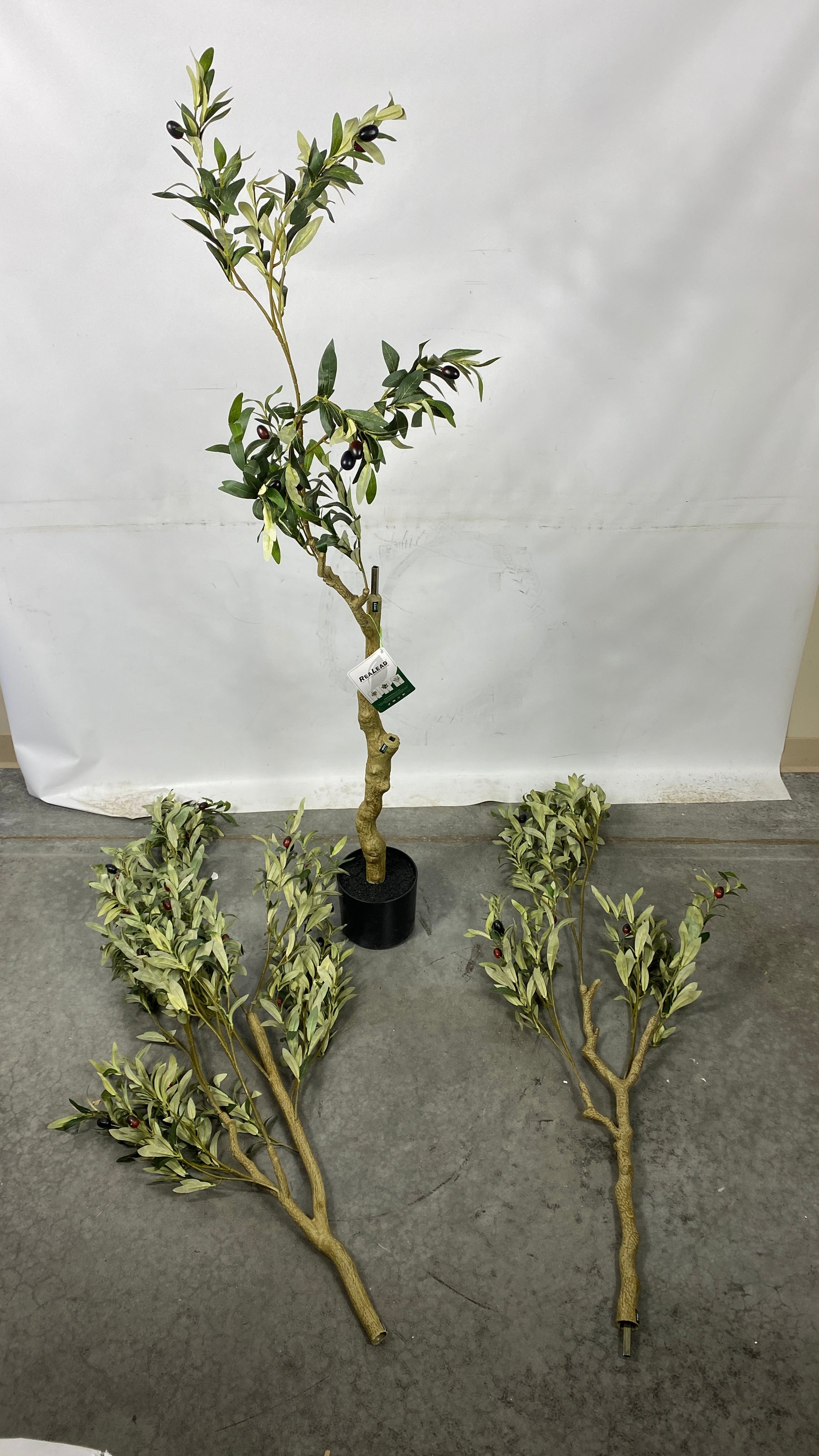 Realead Fake Decorative/Interchangeable Olive Tree