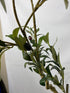 Realead Fake Decorative/Interchangeable Olive Tree