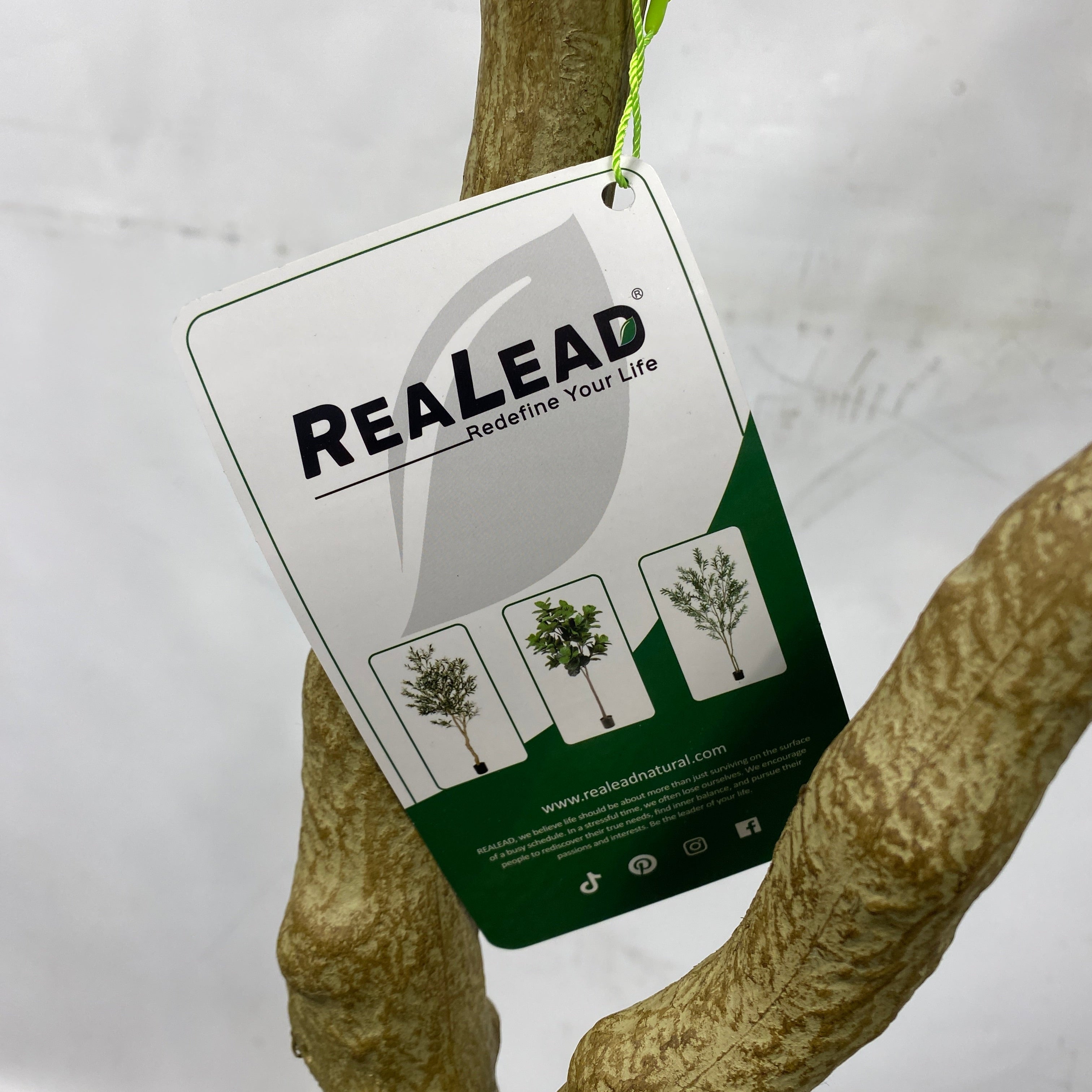 Realead Fake Decorative/Interchangeable Olive Tree