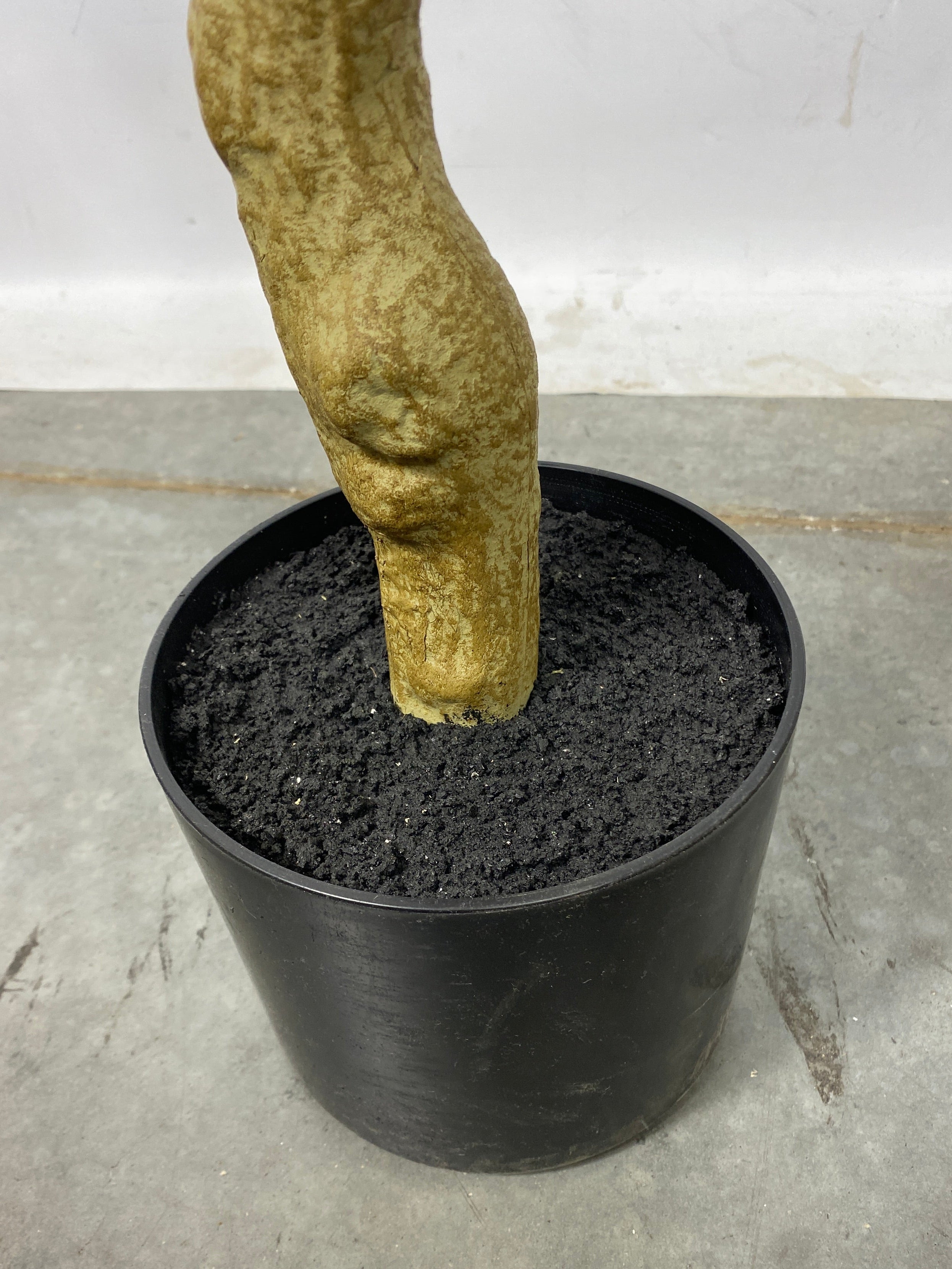 Realead Fake Decorative/Interchangeable Olive Tree