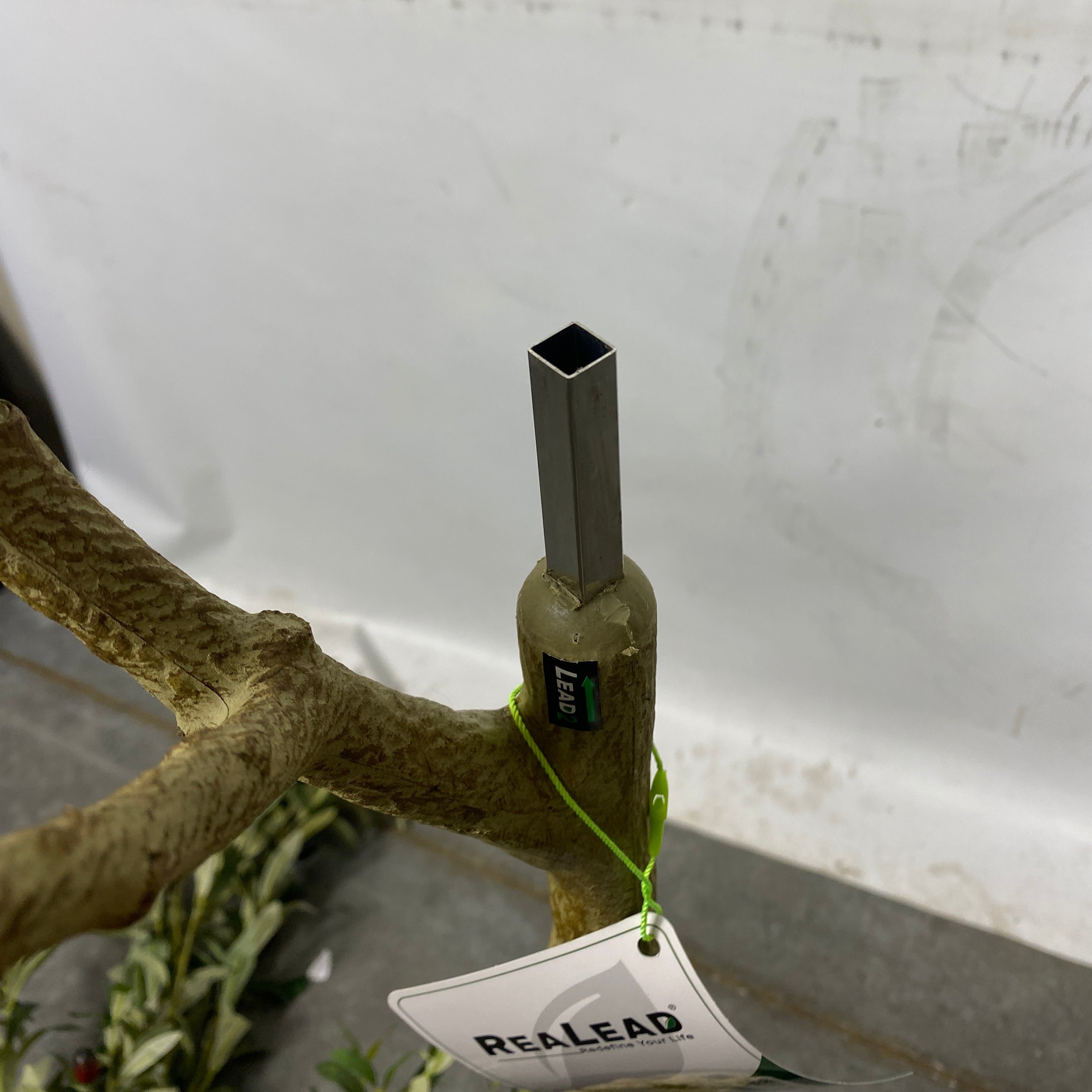 Realead Fake Decorative/Interchangeable Olive Tree