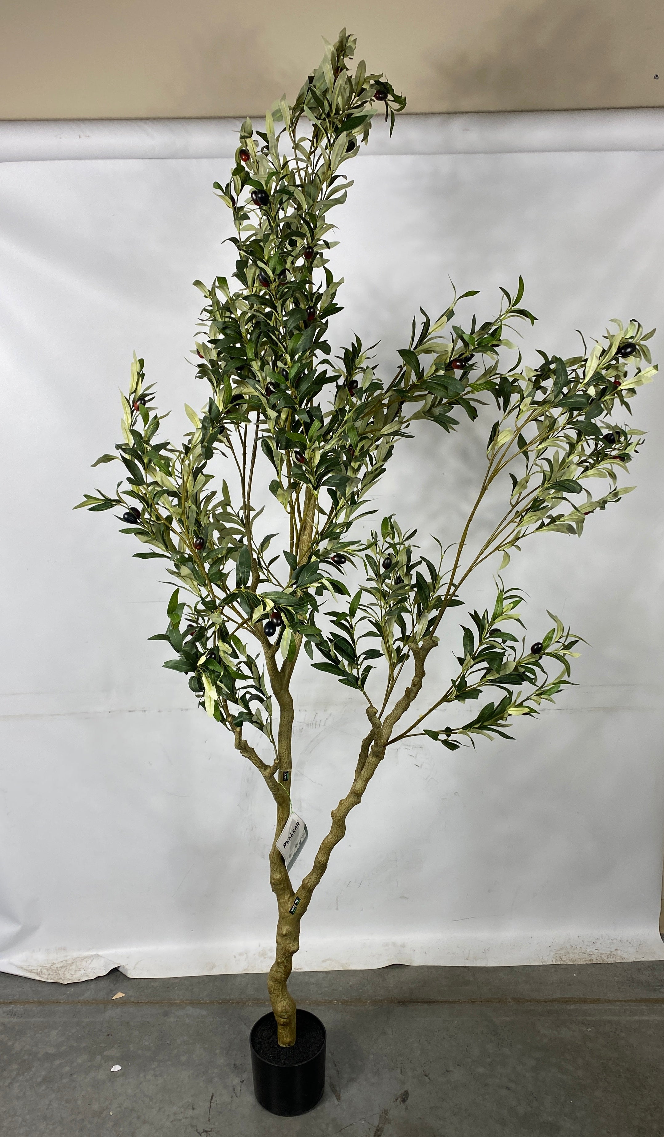 Realead Fake Decorative/Interchangeable Olive Tree
